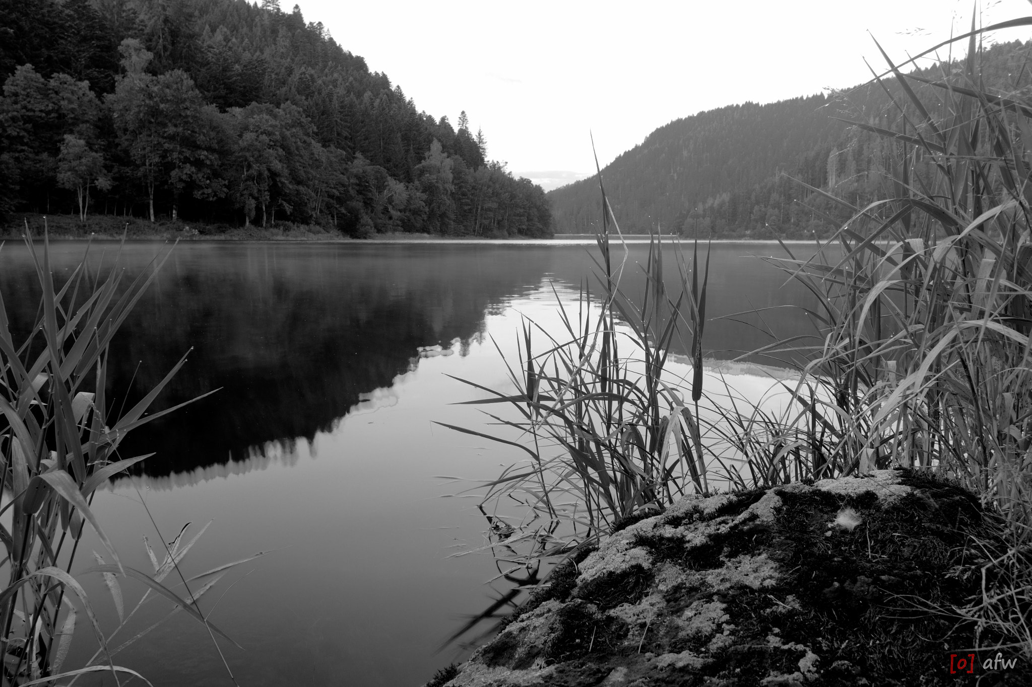 Samsung NX300M + Samsung NX 16mm F2.4 Pancake sample photo. Nebel auf dem albsee 2/3 photography