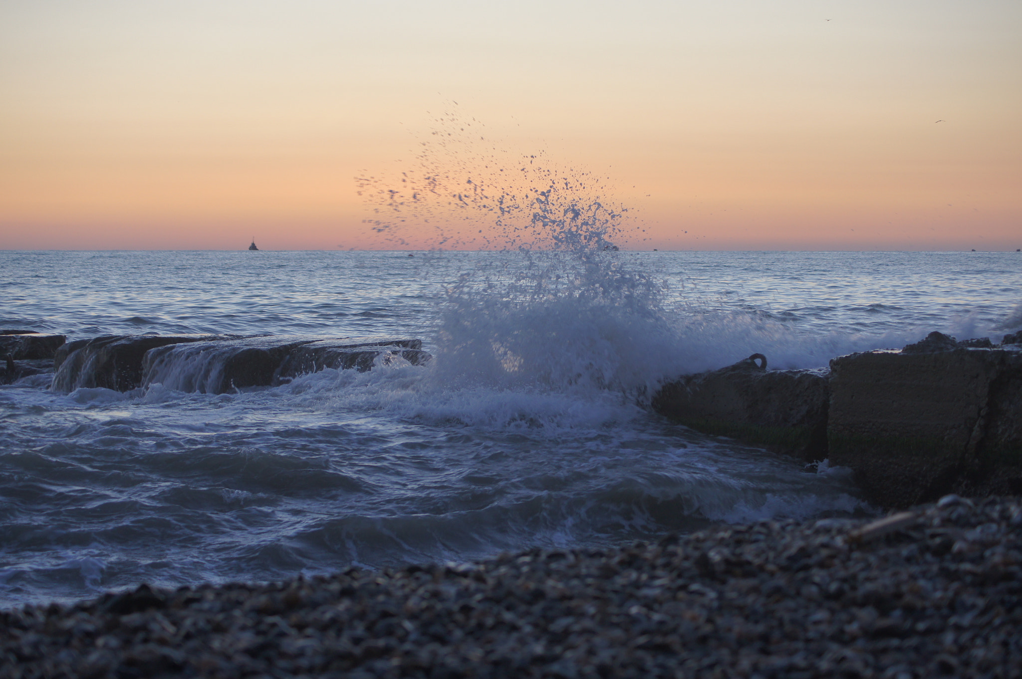 Sony DT 55-200mm F4-5.6 SAM sample photo