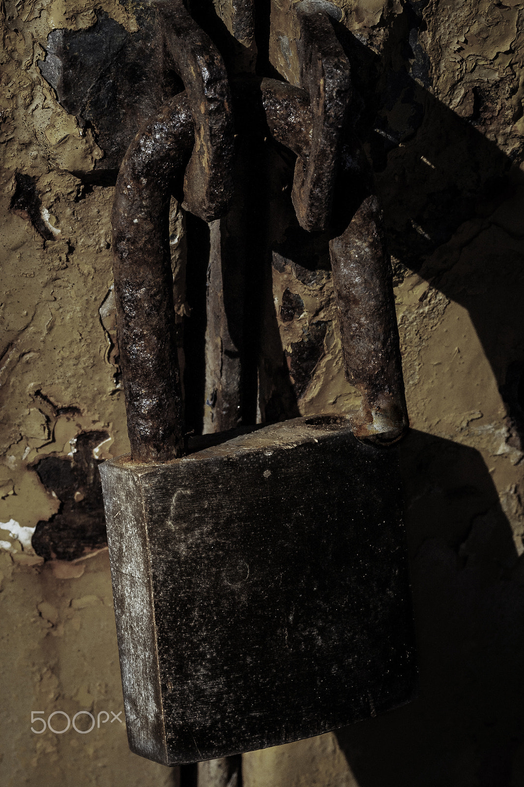 Canon EF-S 60mm F2.8 Macro USM sample photo. Freedom... photography