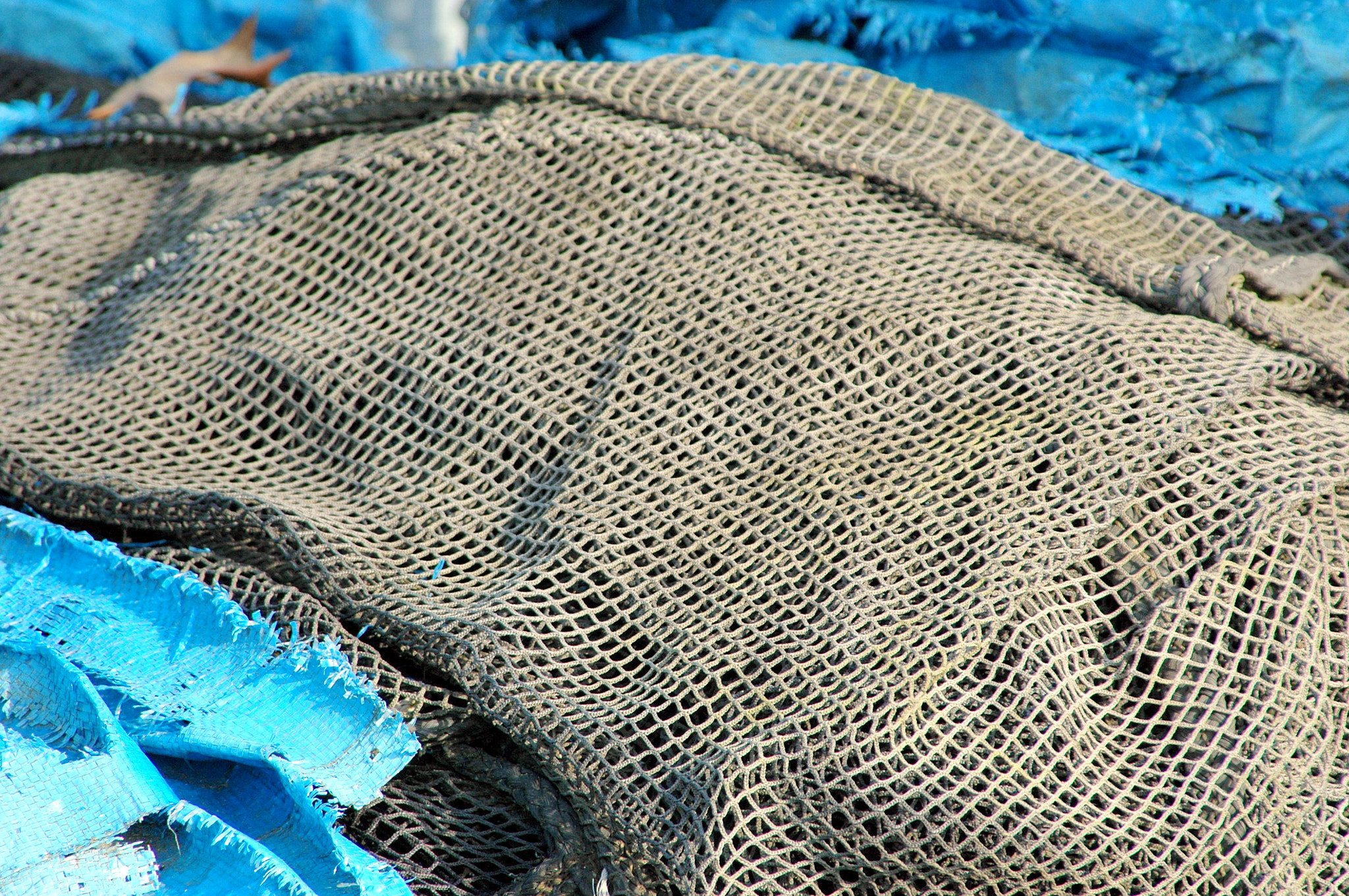Nikon D70 sample photo. Fishing nets. photography