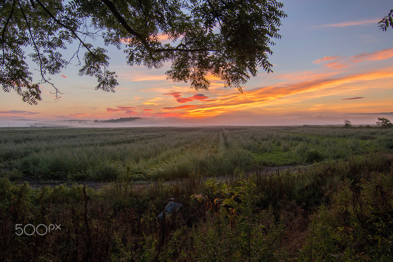 Canon EOS 100D (EOS Rebel SL1 / EOS Kiss X7) + Tokina AT-X Pro 11-16mm F2.8 DX sample photo. Hdr of morning fog and sunrise in western new jersey photography