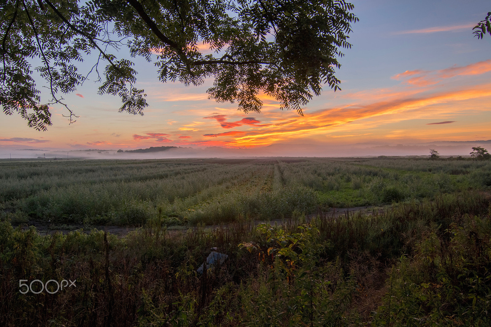 Canon EOS 100D (EOS Rebel SL1 / EOS Kiss X7) sample photo. Hdr of morning fog and sunrise in western new jersey photography