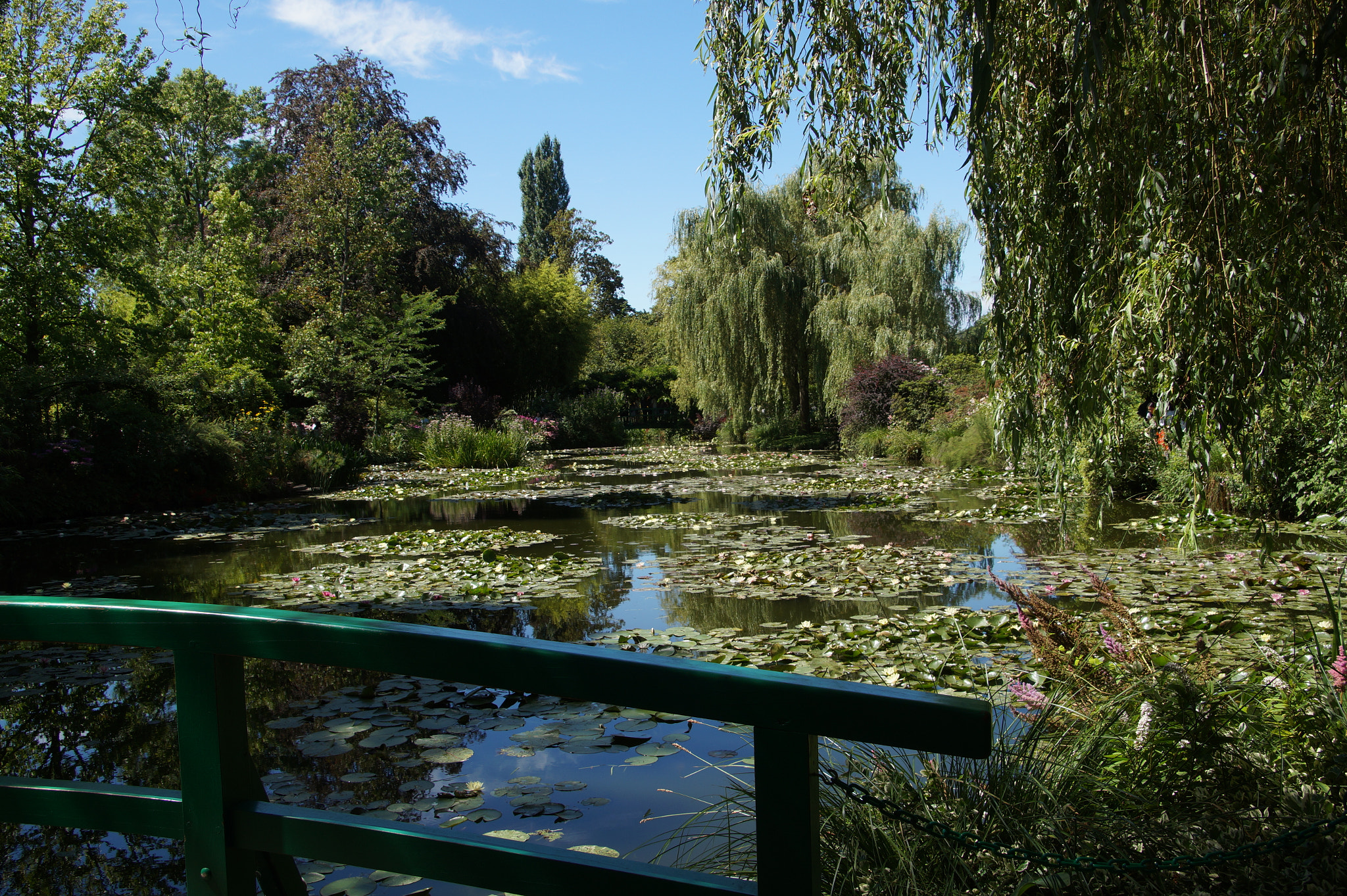 Sony SLT-A58 + Tamron Lens (255) sample photo. In monet's garden photography