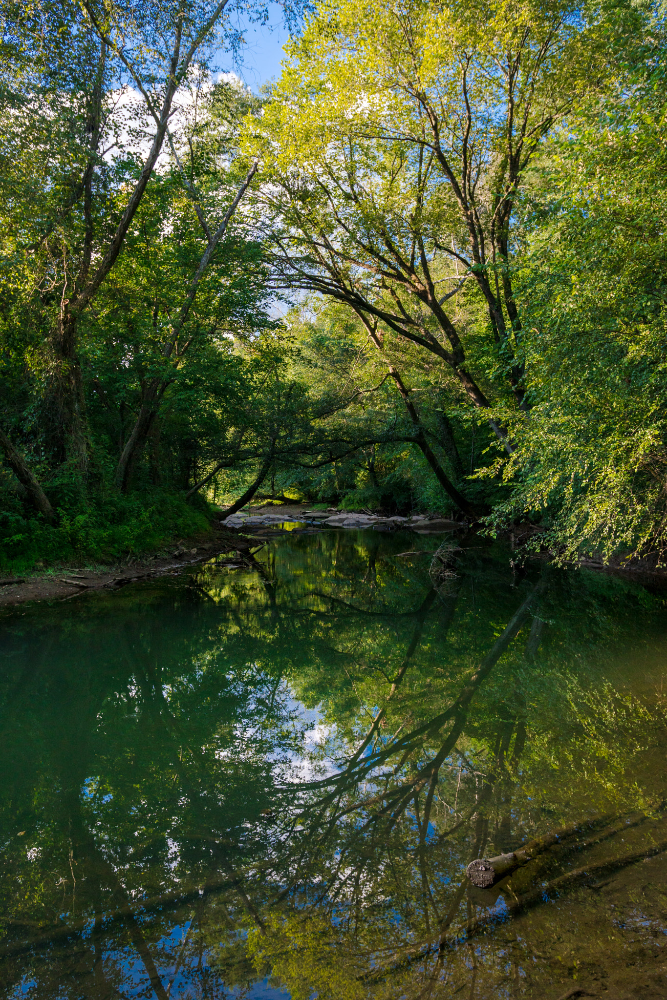 Sony a6300 + 18-35mm F1.8 DC HSM | Art 013 sample photo. Green photography