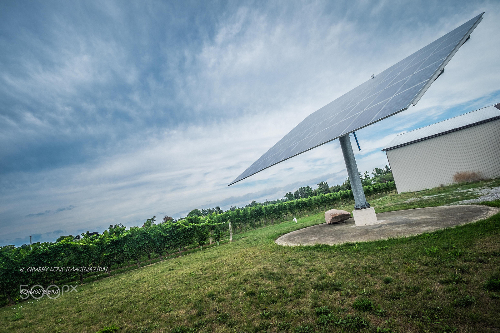ZEISS Touit 12mm F2.8 sample photo. Hinterbrook winery photography