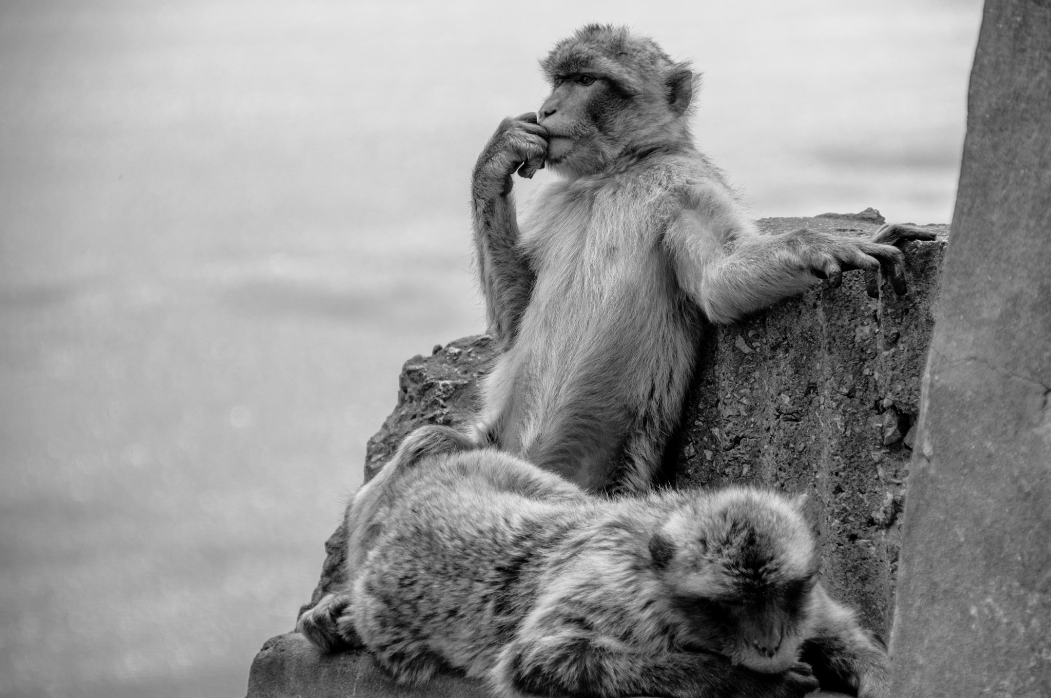 Sigma 18-250mm F3.5-6.3 DC OS HSM sample photo. Gibraltar photography