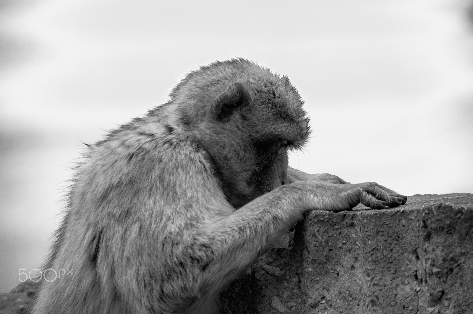 Sigma 18-250mm F3.5-6.3 DC OS HSM sample photo. Gibraltar photography