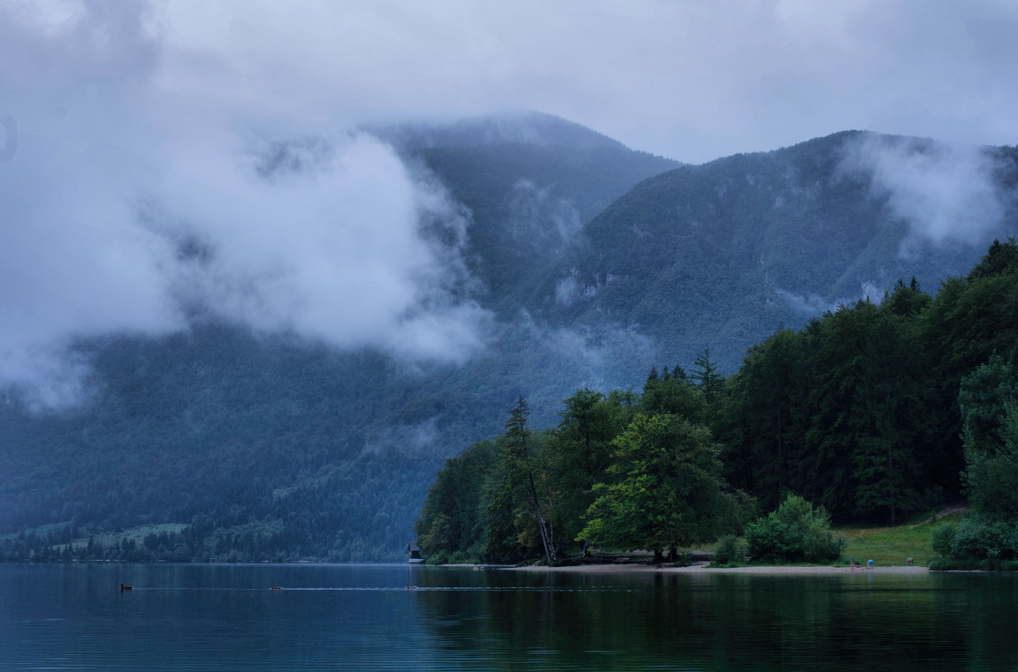 Pentax K-5 sample photo. Lake bohinj, slovenia photography