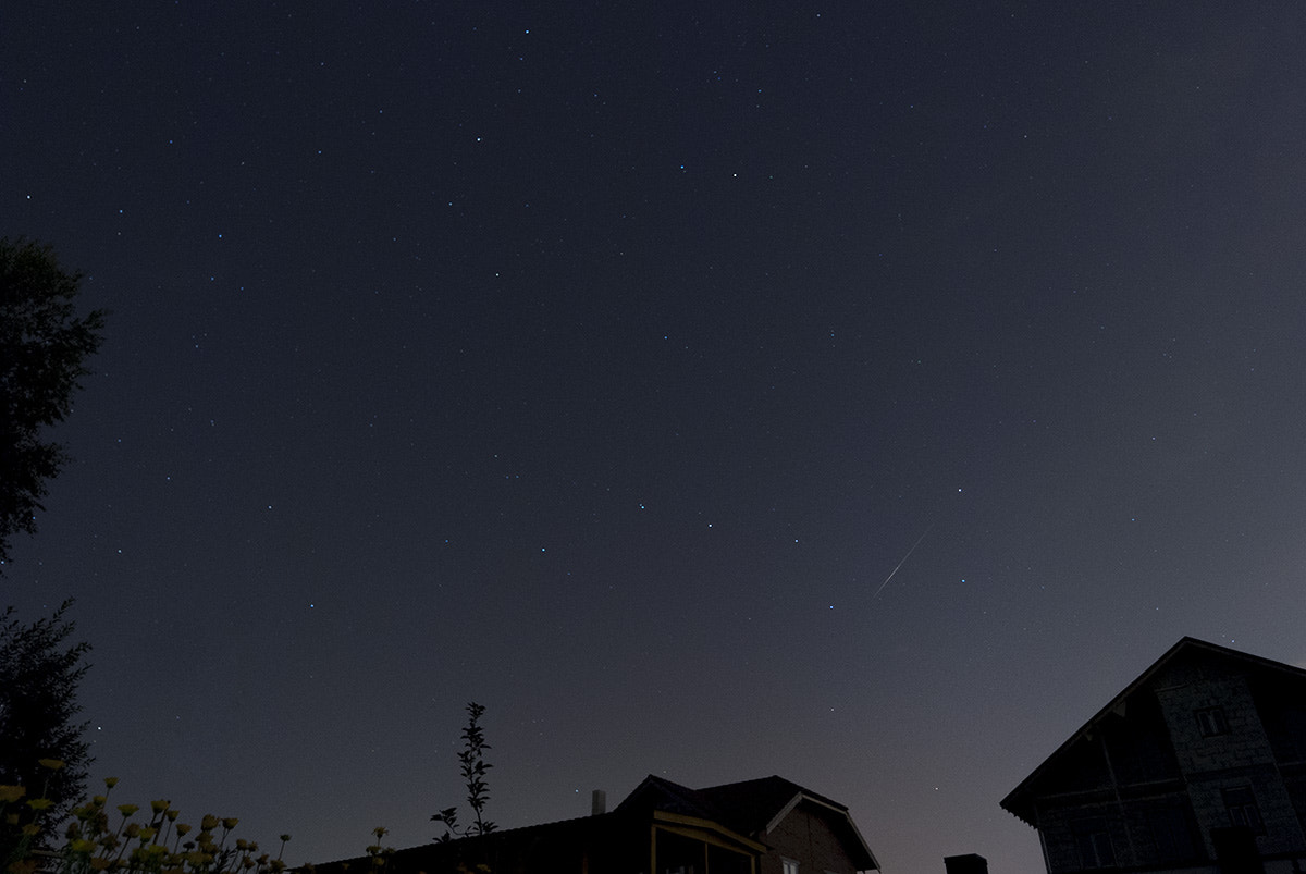 Nikon D200 sample photo. Perseid in bucket photography
