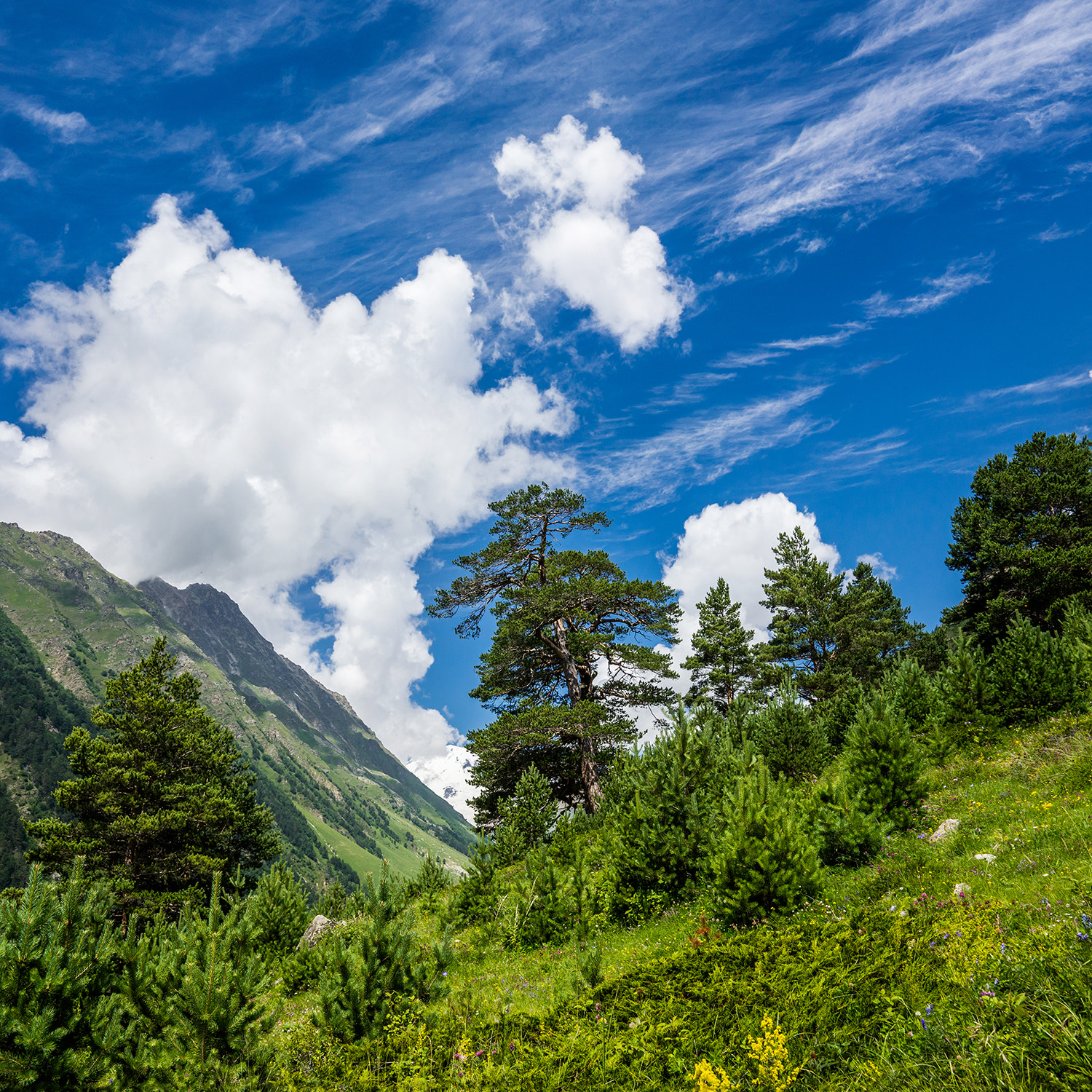 Sony Alpha a99 sample photo. Clouds in the iirk gorge, elbrus region. photography