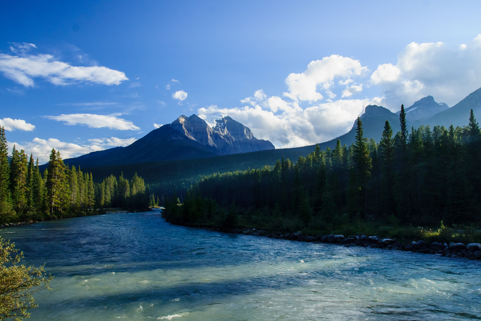 Sony Alpha DSLR-A700 sample photo. Jasper photography