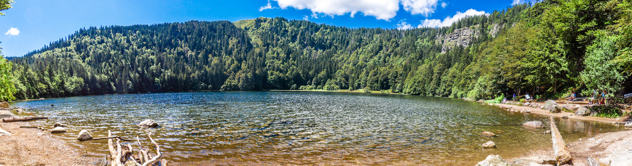 Samsung WB550, WB560 / VLUU WB550 /  HZ15W sample photo. Feldsee black forest lake photography