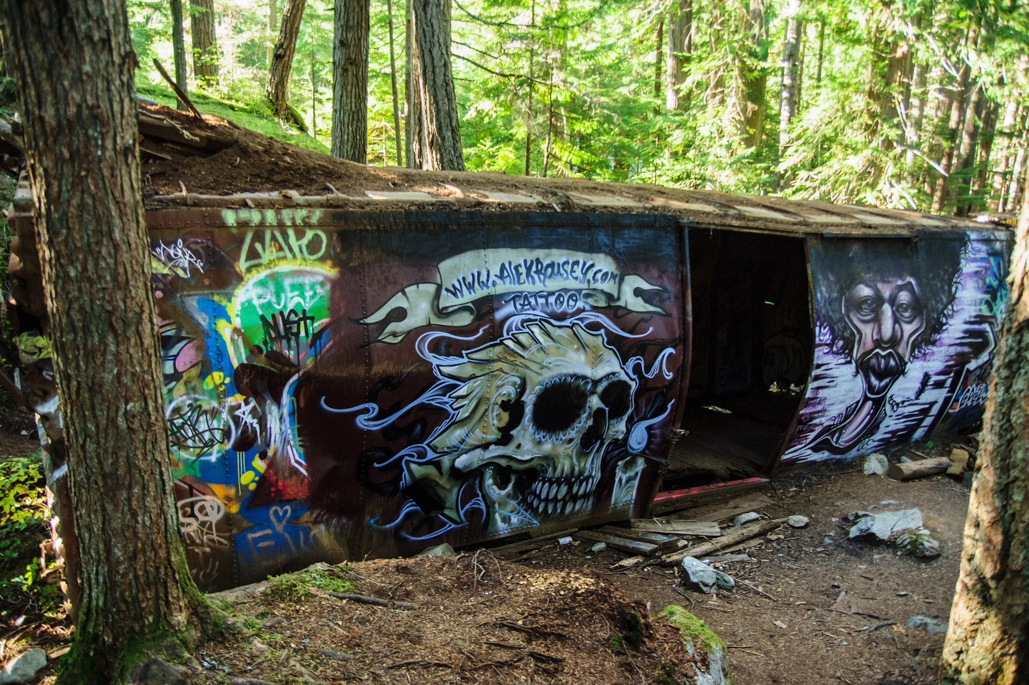 Sony Alpha DSLR-A700 sample photo. Train wreck photography