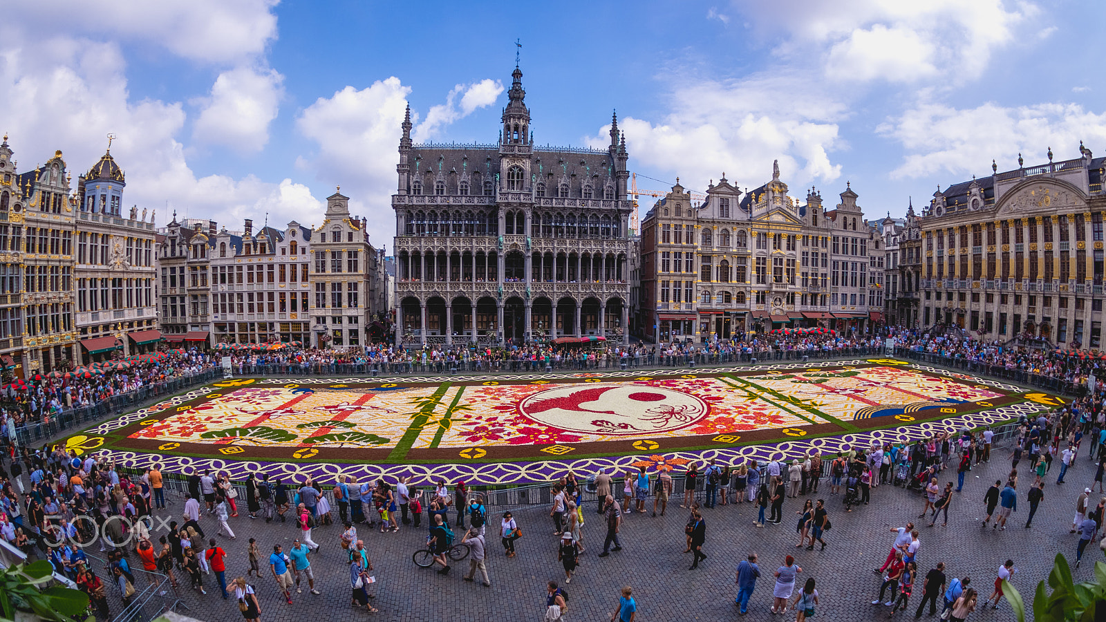 Sigma 10mm F2.8 EX DC HSM Diagonal Fisheye sample photo. Brussels flower carpet 2016 photography