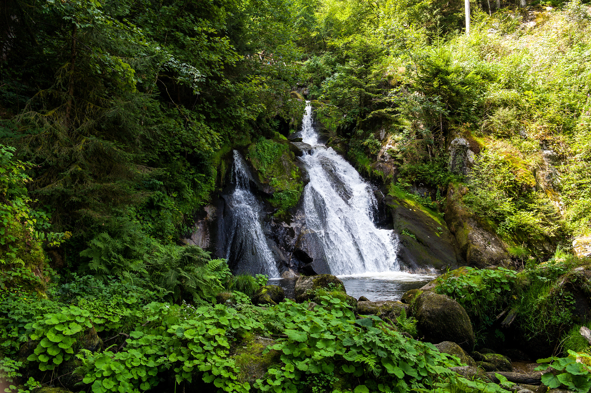 Elmarit-M 28mm f/2.8 (IV) sample photo. Wasserfall photography