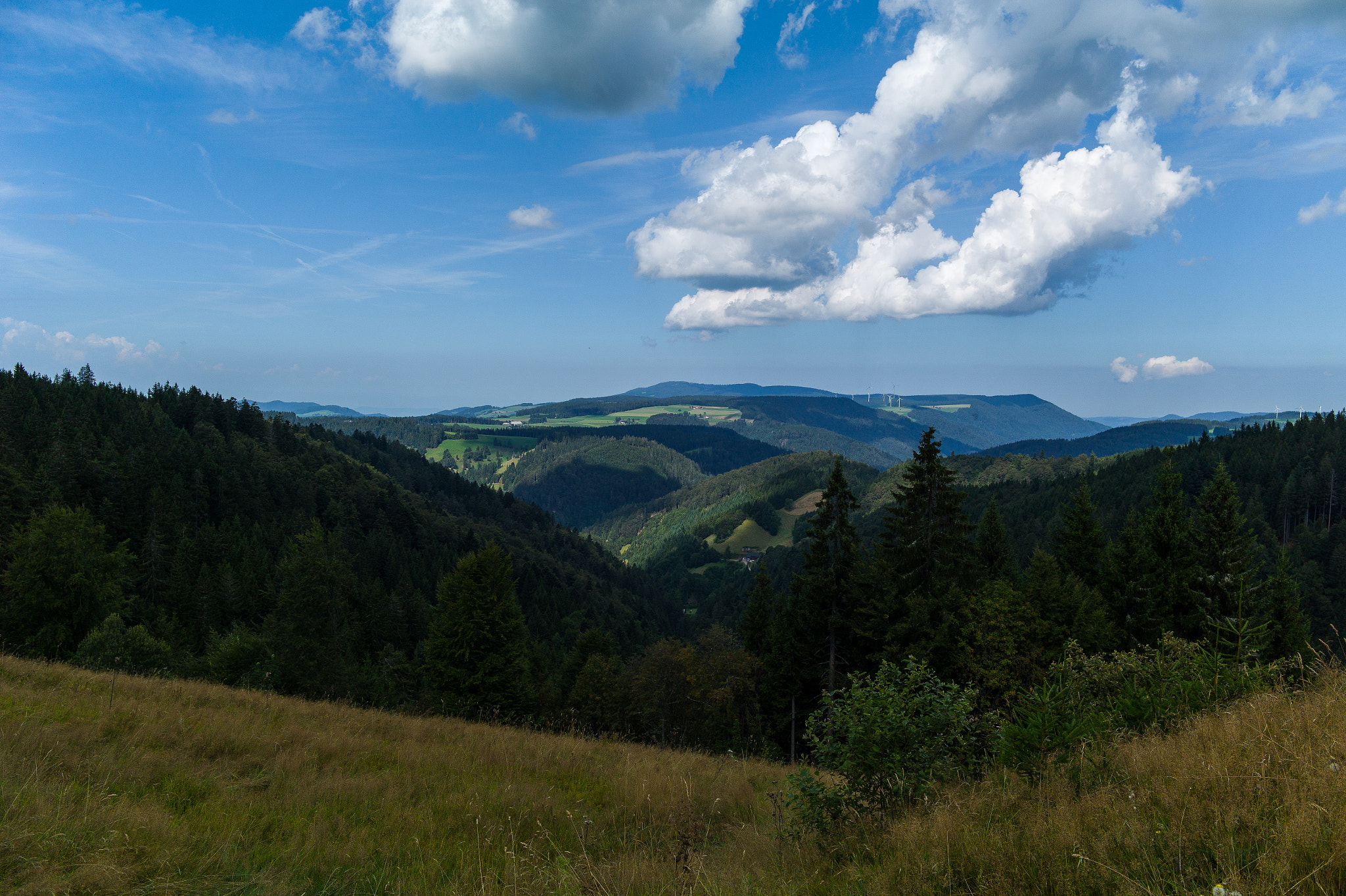 Elmarit-M 28mm f/2.8 (IV) sample photo. Breisgau photography