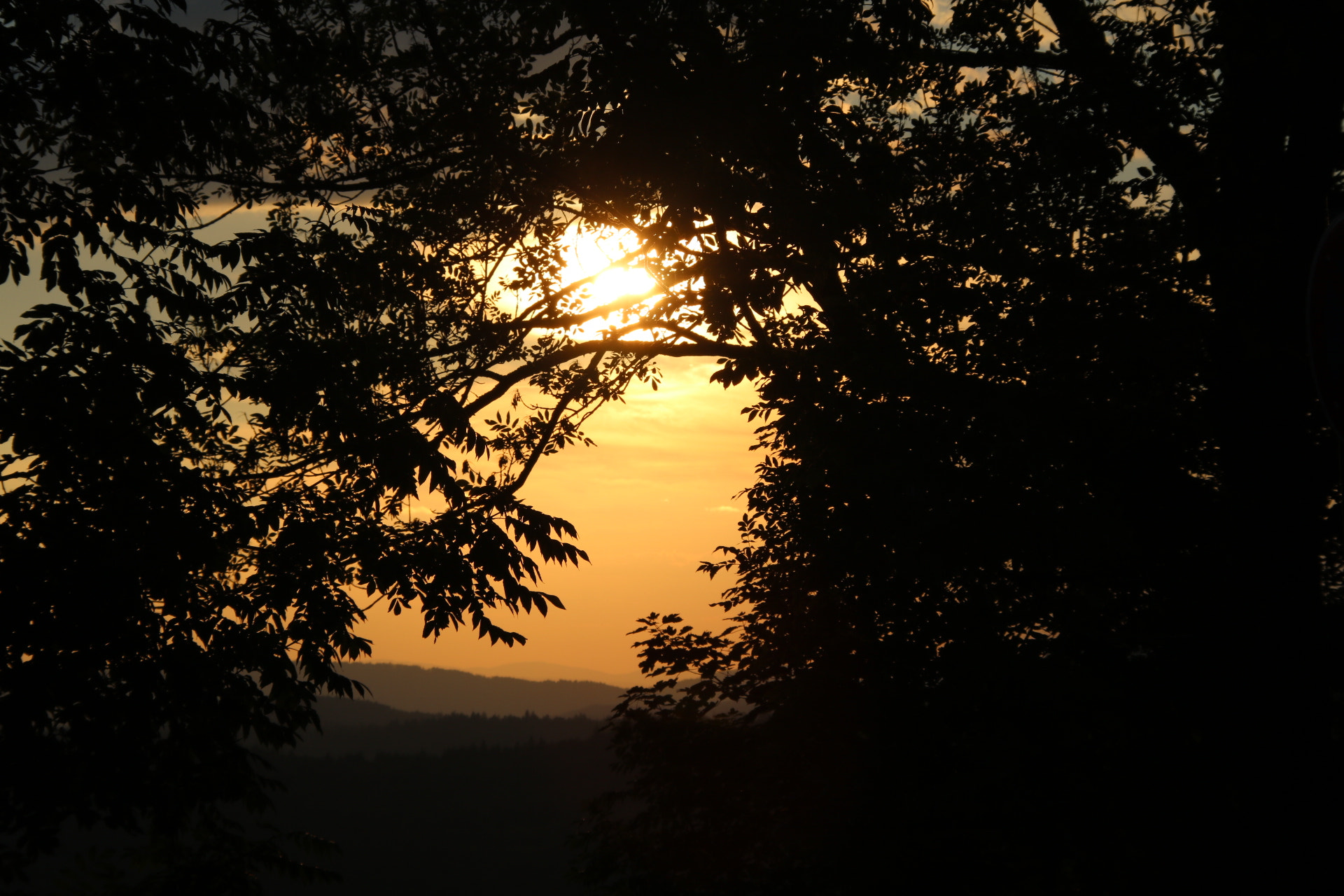 Sigma 18-200mm f/3.5-6.3 DC OS sample photo