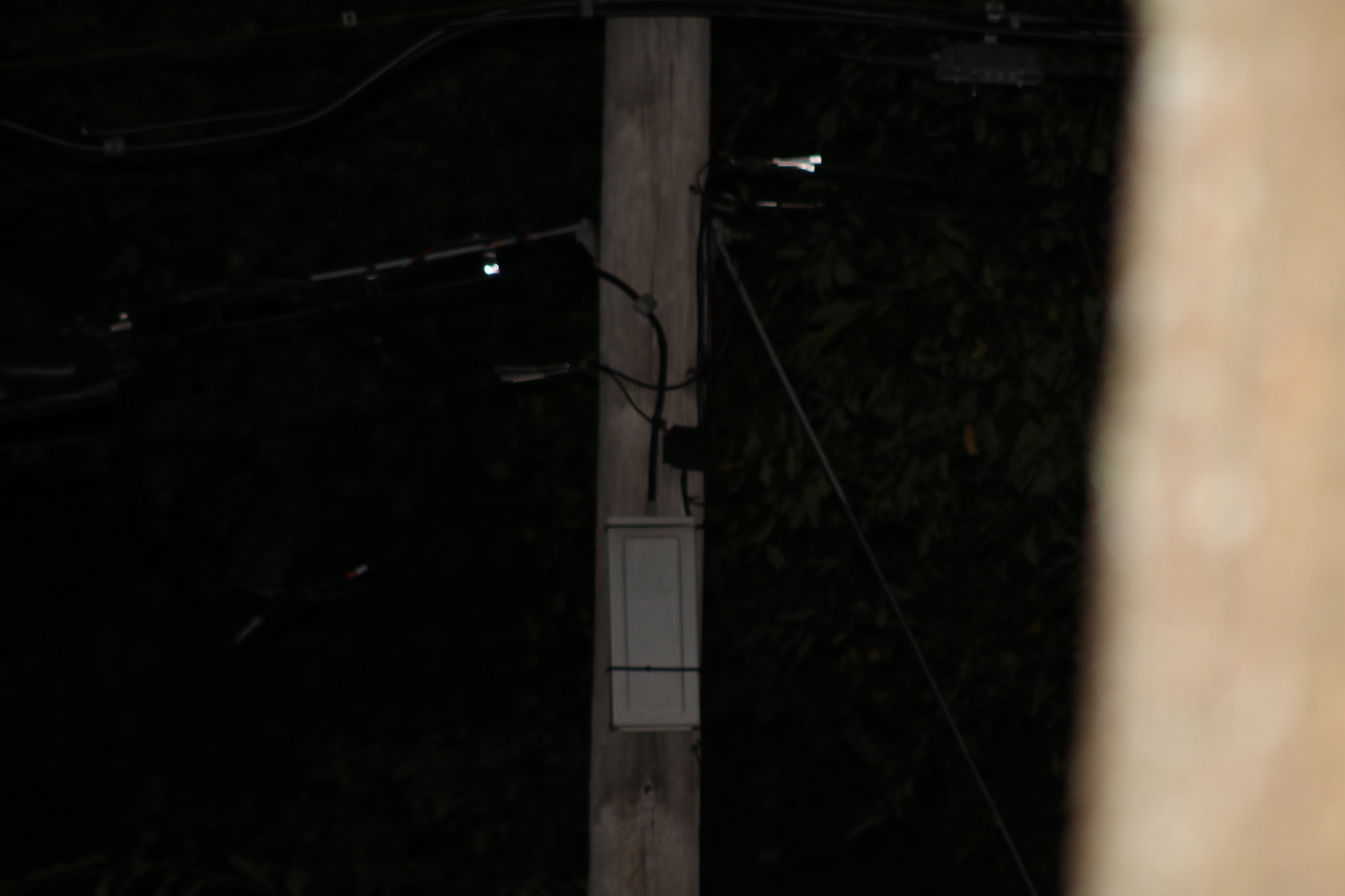 Canon EOS 750D (EOS Rebel T6i / EOS Kiss X8i) + EF75-300mm f/4-5.6 sample photo. Img_1927.jpg photography