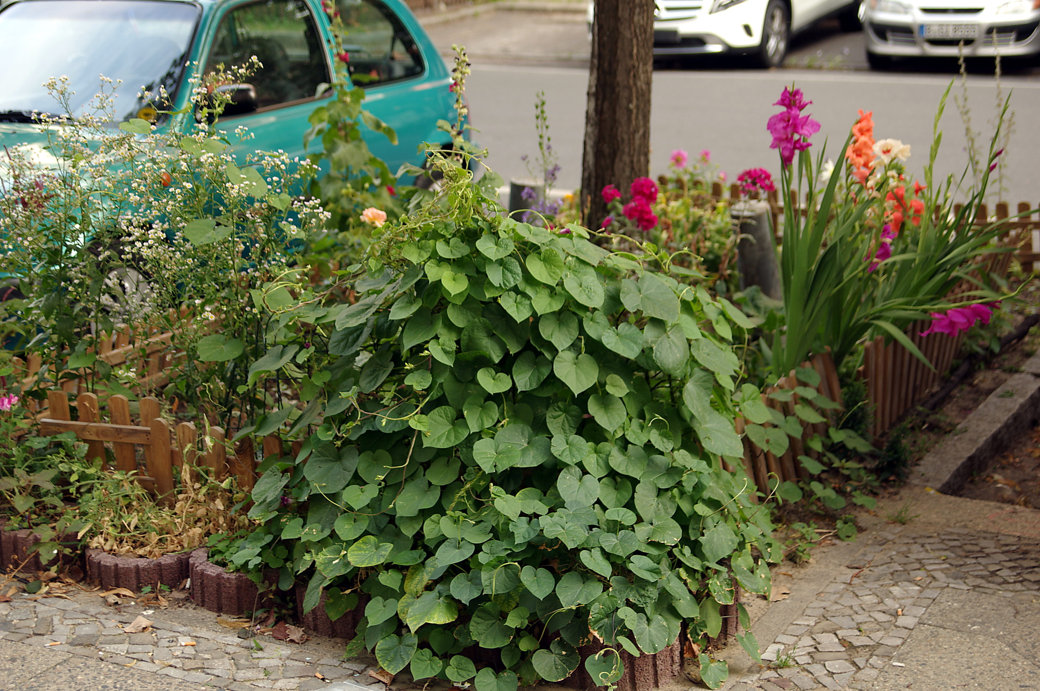 Pentax K-3 + Tamron AF 28-75mm F2.8 XR Di LD Aspherical (IF) sample photo. Berlin, urban gardening photography