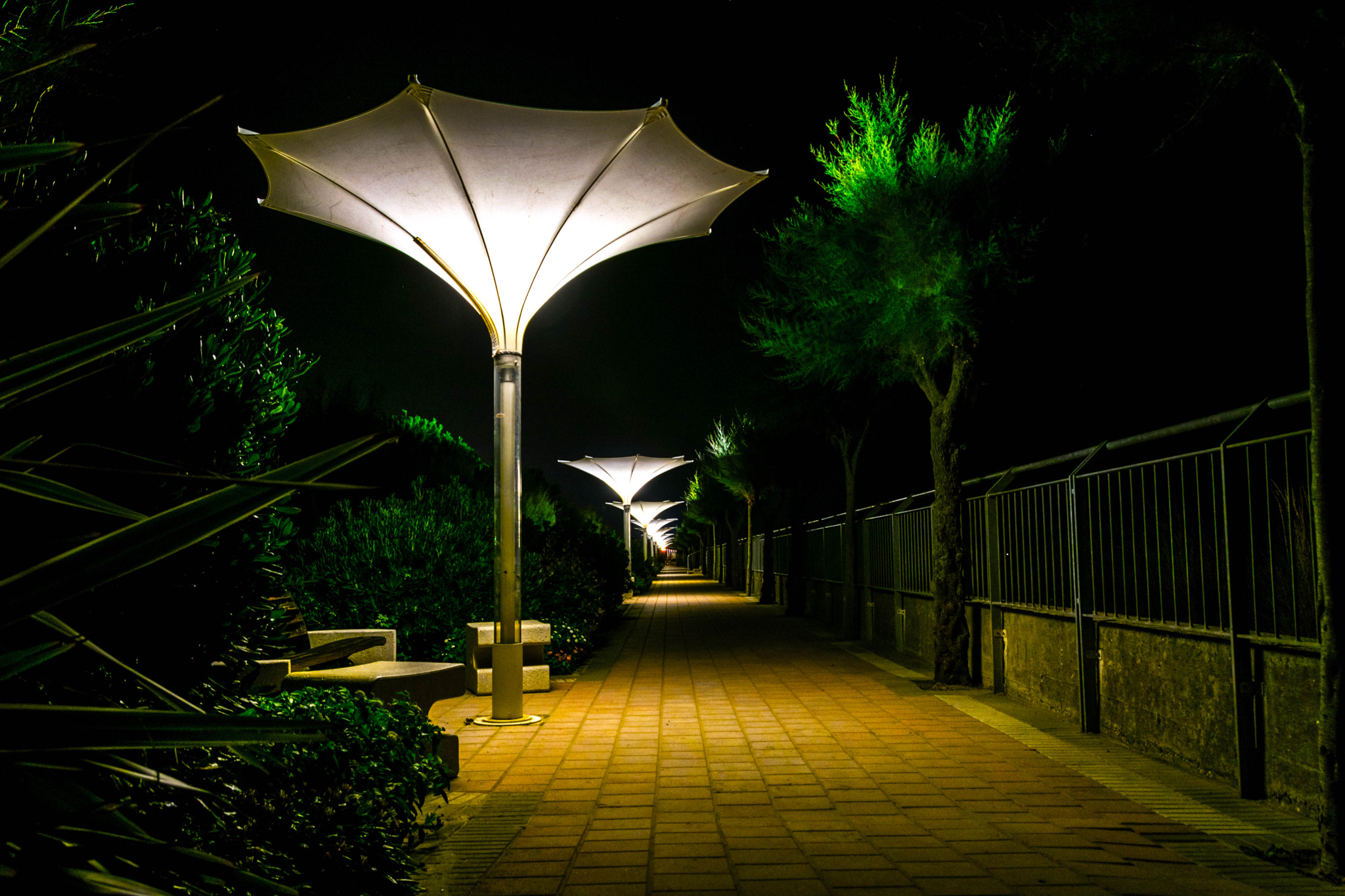 Nikon D3300 + Nikon AF-S DX Nikkor 16-85mm F3.5-5.6G ED VR sample photo. Glowing umbrellas photography