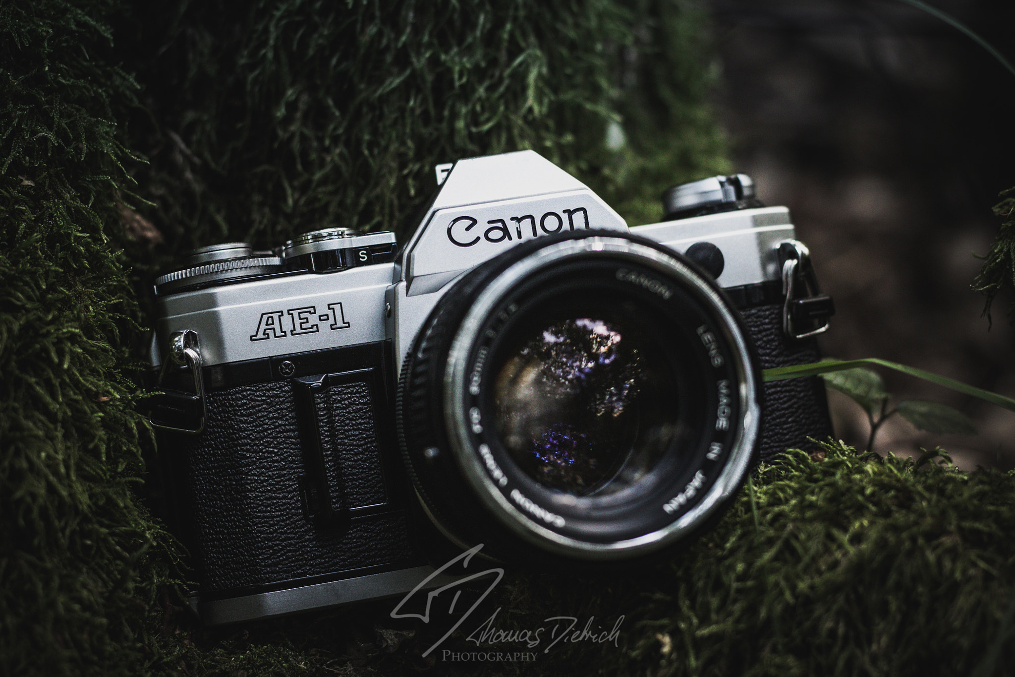 Canon EOS M + Canon EF 50mm F1.8 STM sample photo. Vintage camera photography