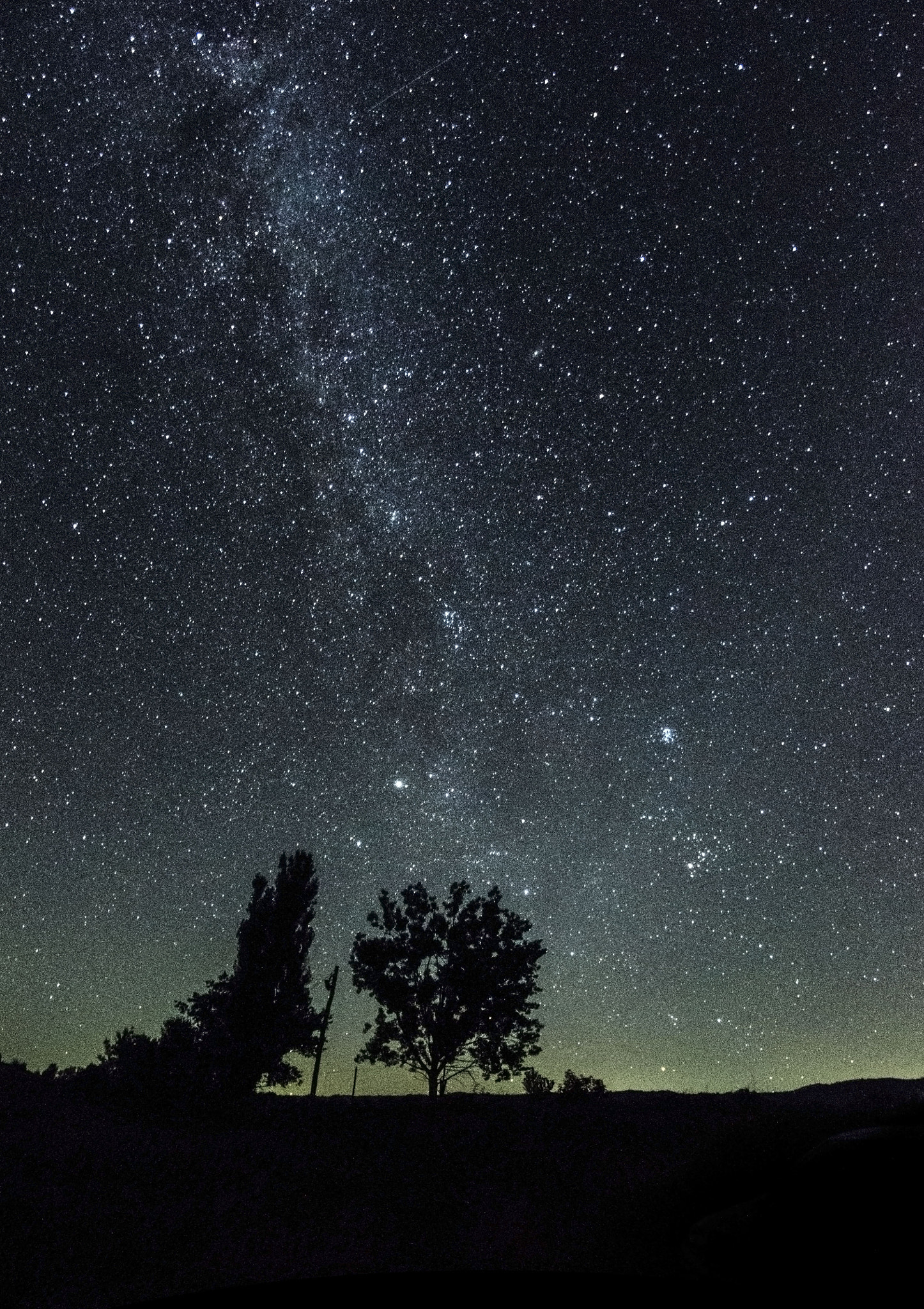 Nikon D7000 + Samyang 8mm F3.5 Aspherical IF MC Fisheye sample photo. Sil photography