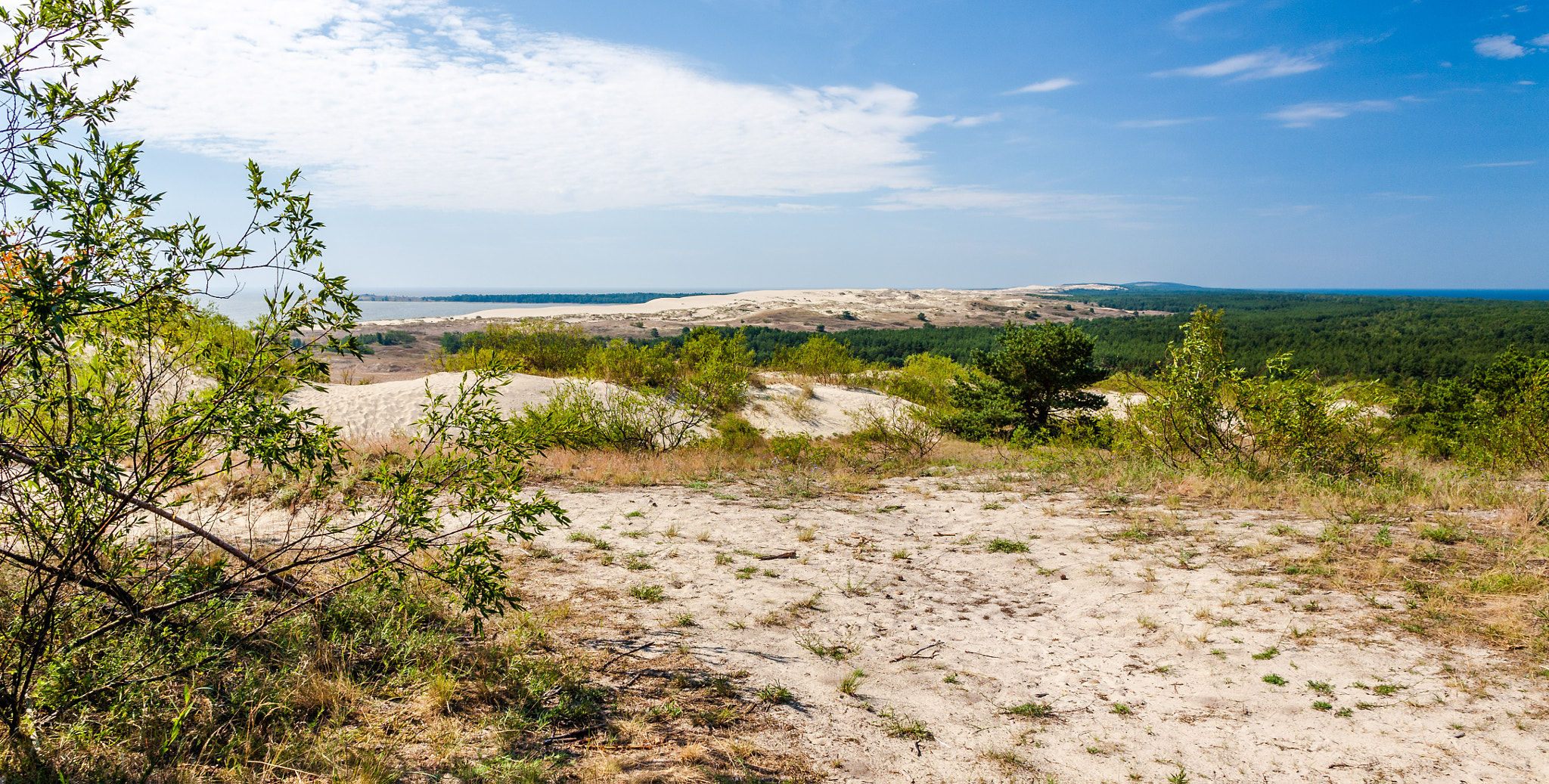 Canon EOS 5D + Canon EF 24mm F2.8 sample photo. Kuronian spit photography