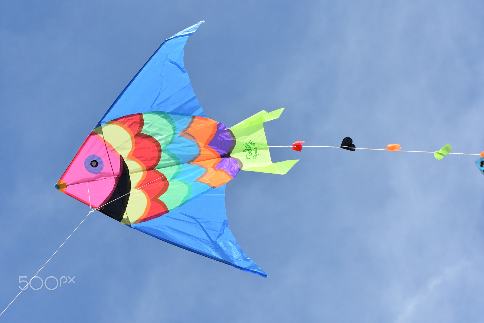 Nikon AF Nikkor 70-300mm F4-5.6G sample photo. Flying fish.jpg photography