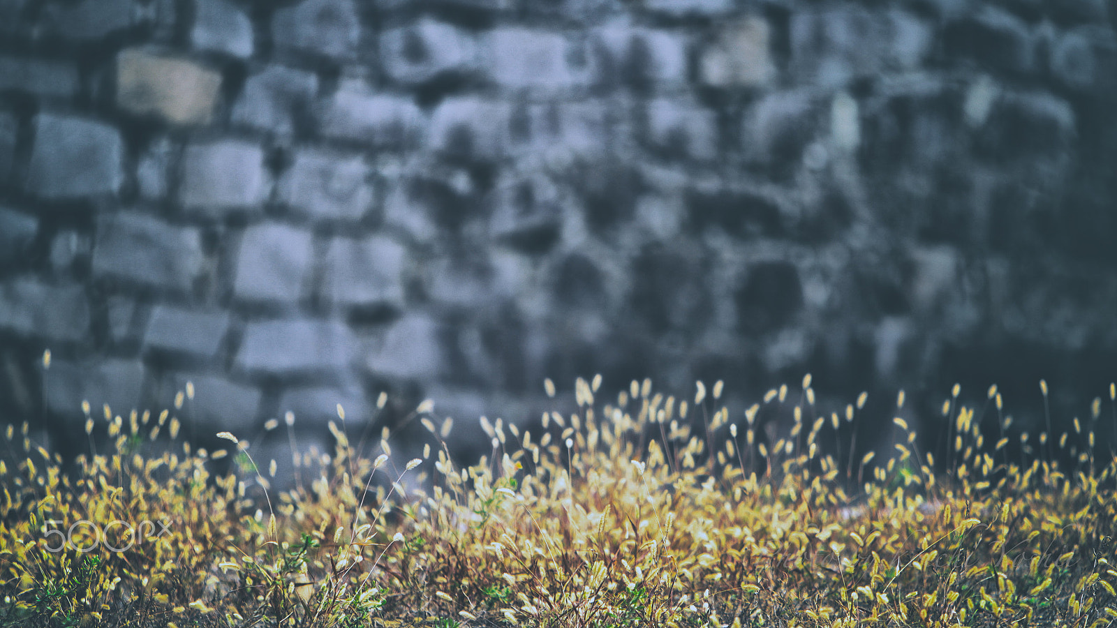 Canon EF 70-200mm F2.8L IS USM sample photo. 城壁。 photography