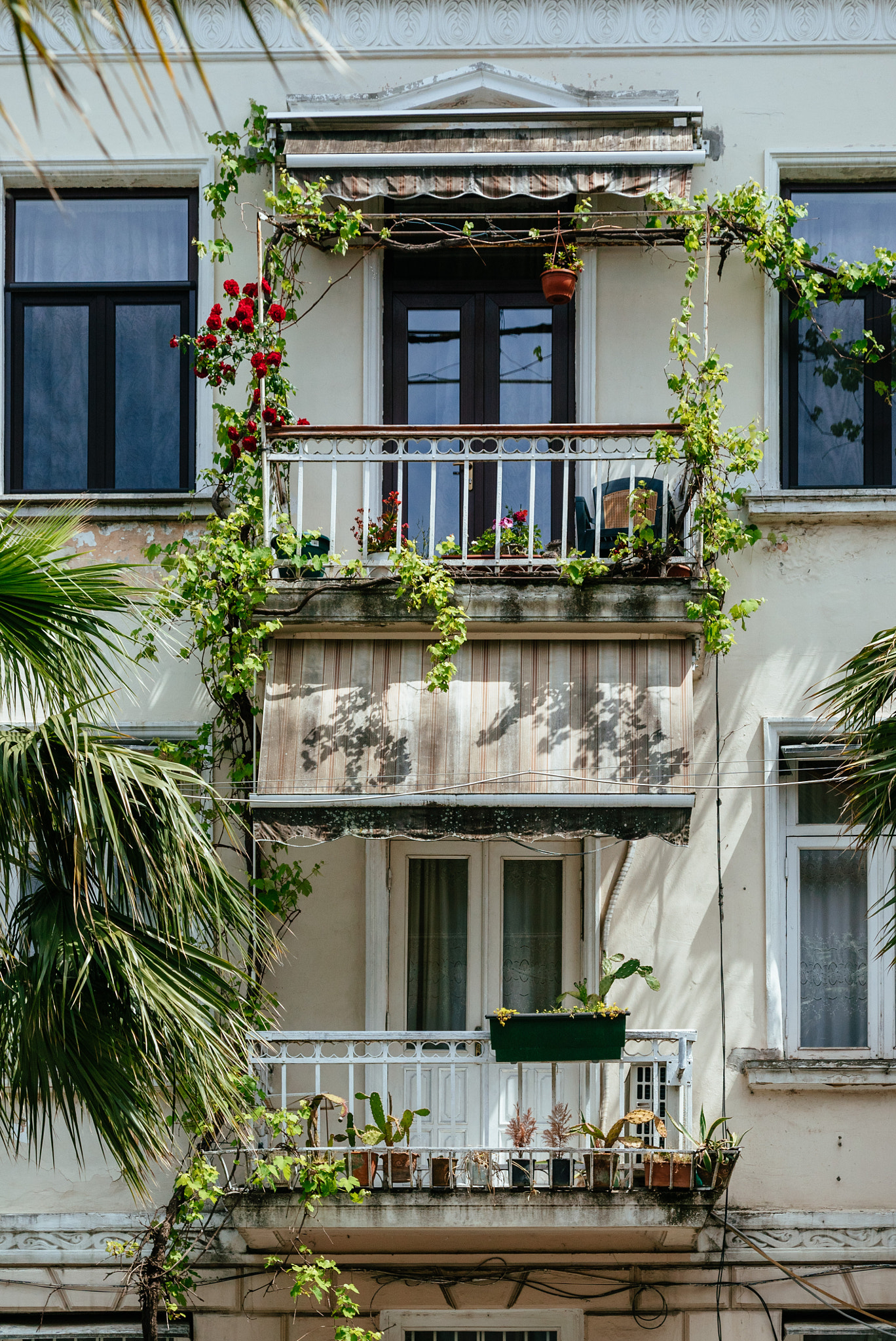 Sony a7S + Sony 70-400mm F4-5.6 G SSM sample photo. Balconies in batumi photography