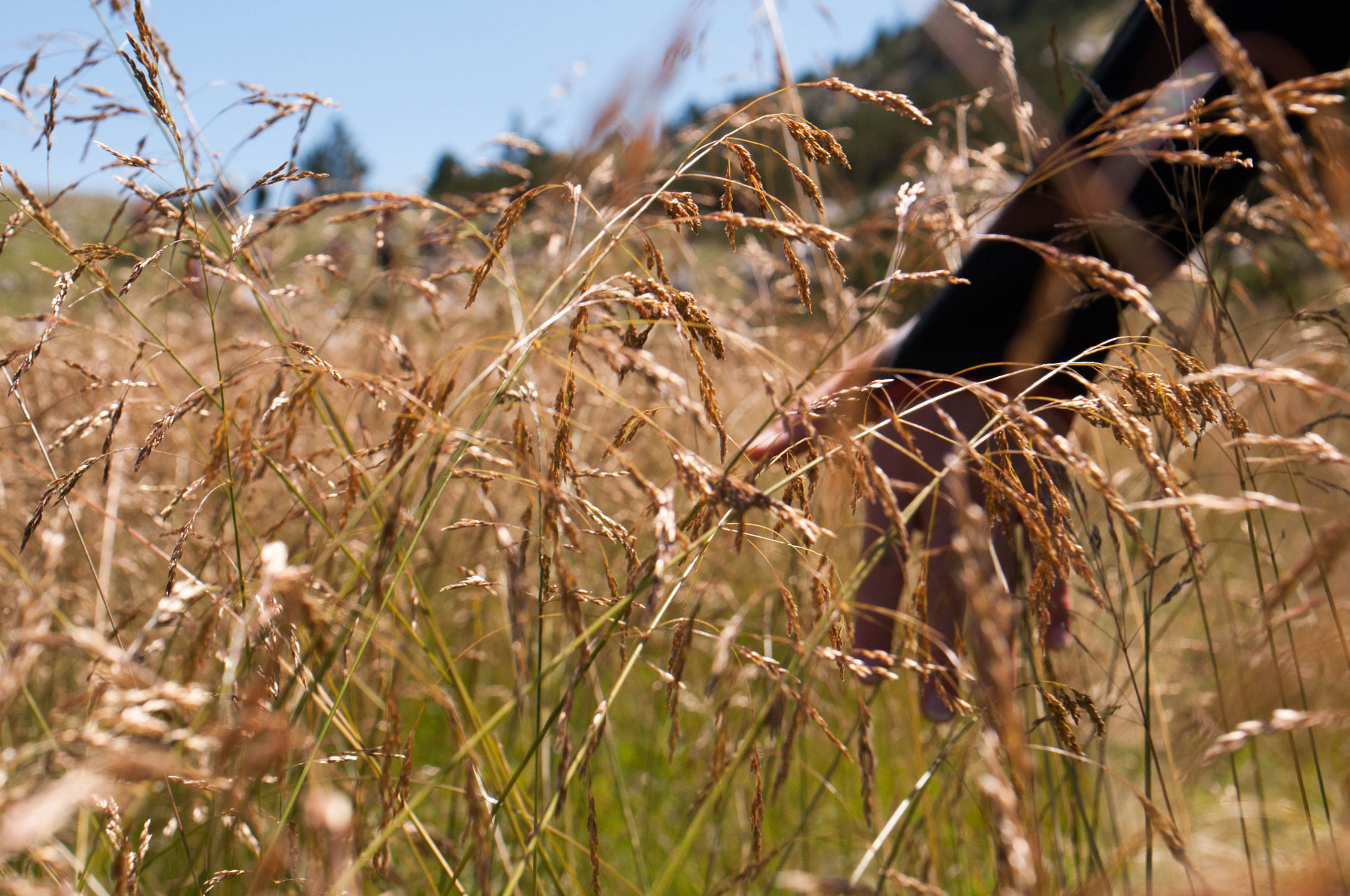 Nikon D5000 + Sigma 18-50mm F2.8-4.5 DC OS HSM sample photo. In the field photography