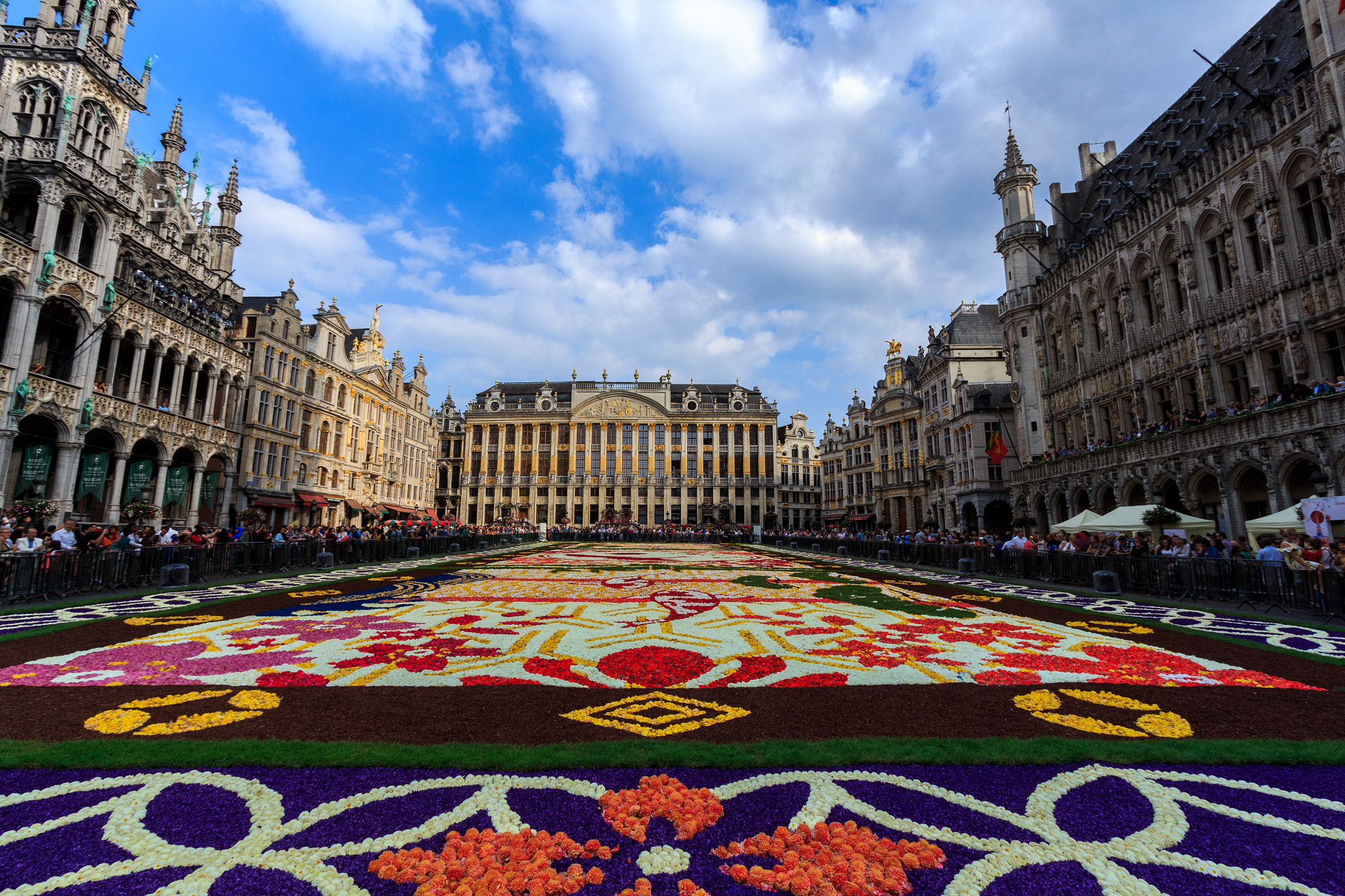 Canon EOS 650D (EOS Rebel T4i / EOS Kiss X6i) + Canon EF-S 10-22mm F3.5-4.5 USM sample photo. Brussels flower carpet 2016 photography