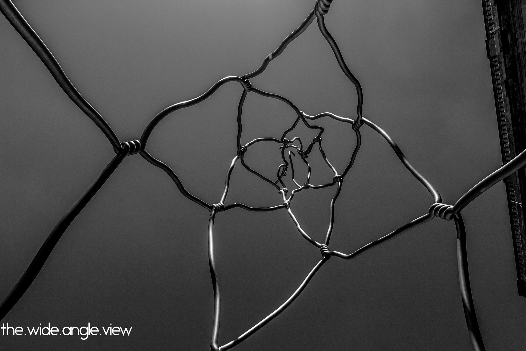 Canon EOS 700D (EOS Rebel T5i / EOS Kiss X7i) + Canon EF 300mm f/2.8L sample photo. Abstract photography
