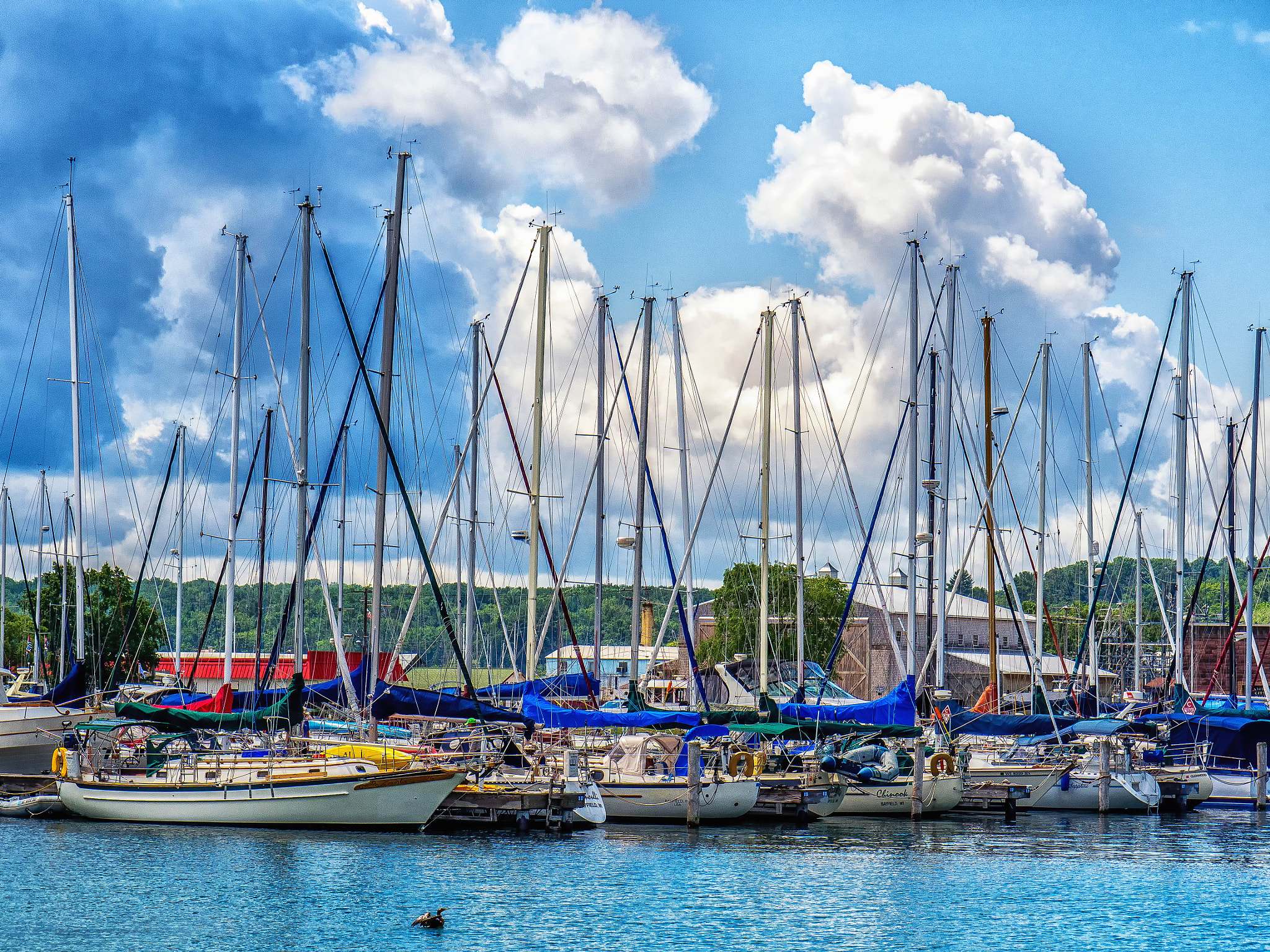OLYMPUS M.14-150mm F4.0-5.6 II sample photo. Bayfield yachts photography