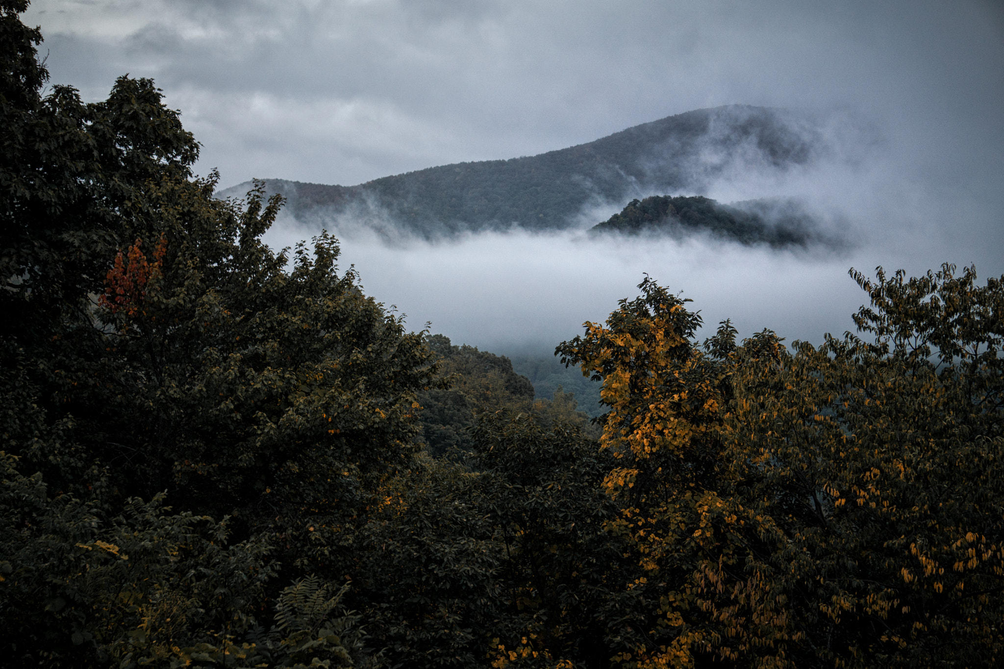 Sony a5100 sample photo. Misty mountain fall photography