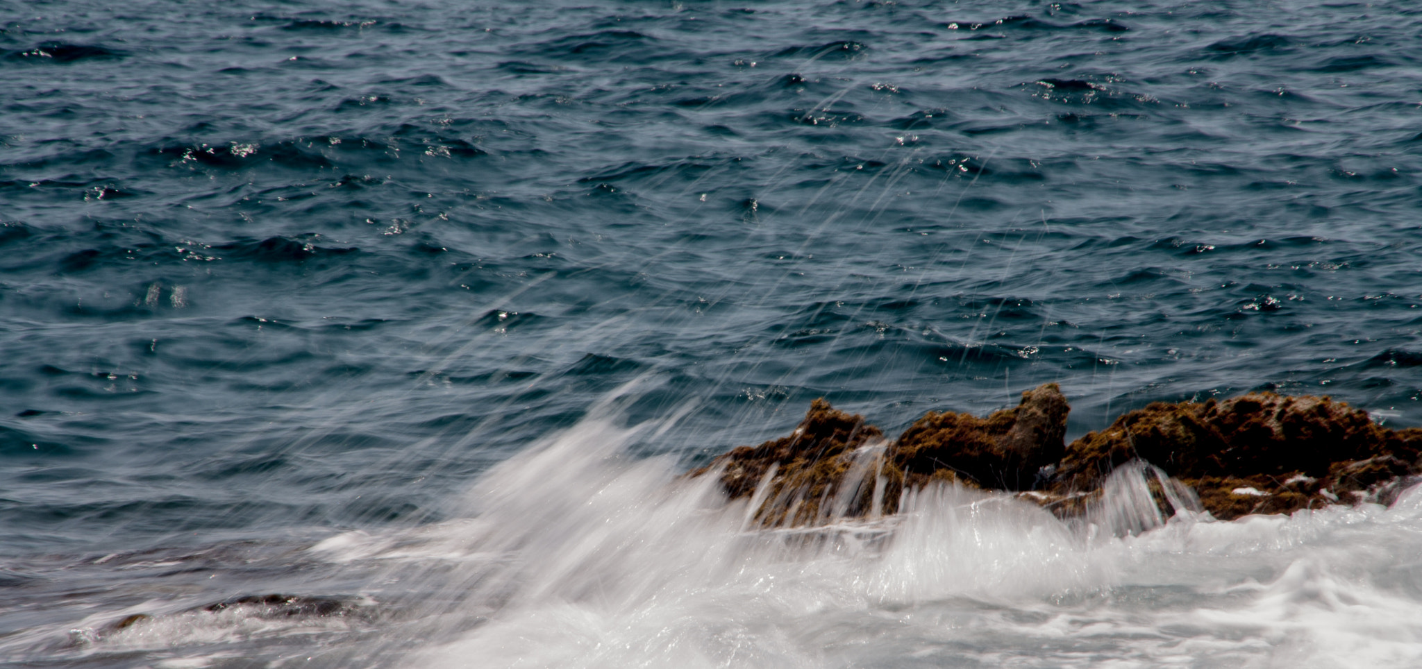 Canon EOS 1000D (EOS Digital Rebel XS / EOS Kiss F) sample photo. •waving the rock• photography