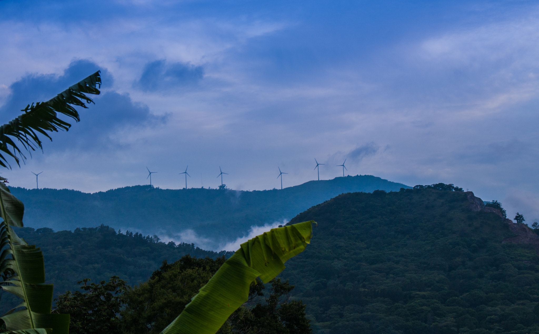 Sony Alpha DSLR-A290 + Sony DT 18-55mm F3.5-5.6 SAM sample photo. Deep breath photography
