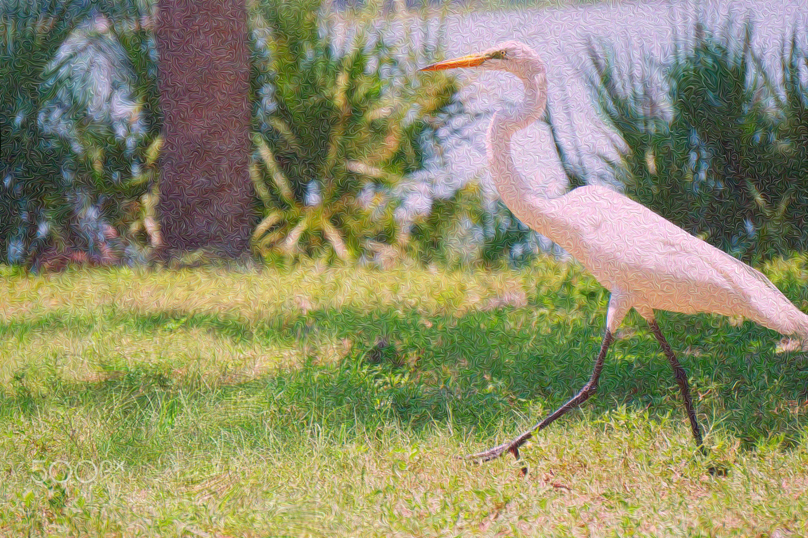 Sony a5100 sample photo. Heron oil painted photography