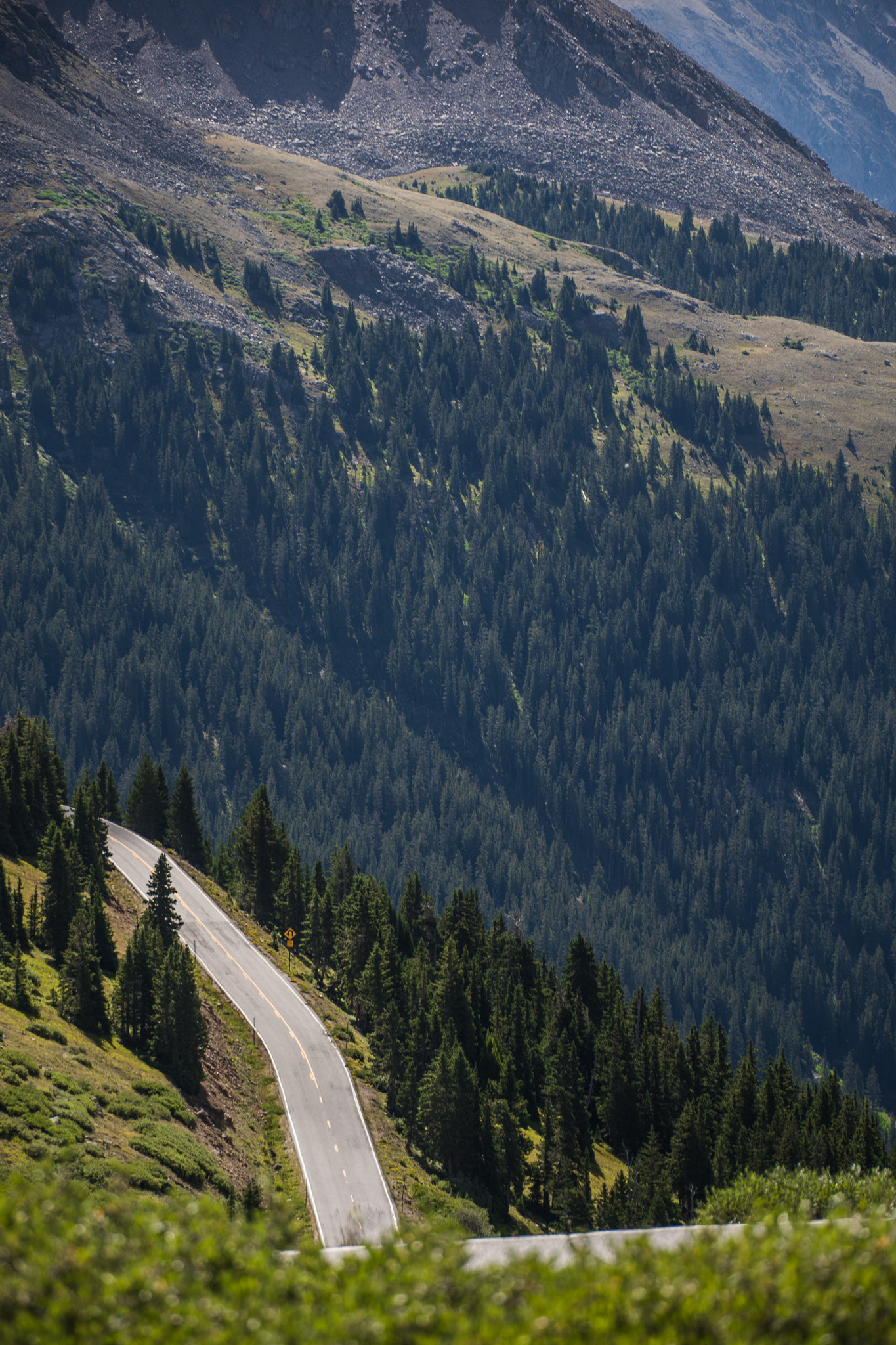 Canon EOS-1D X Mark II sample photo. Aspen roads photography