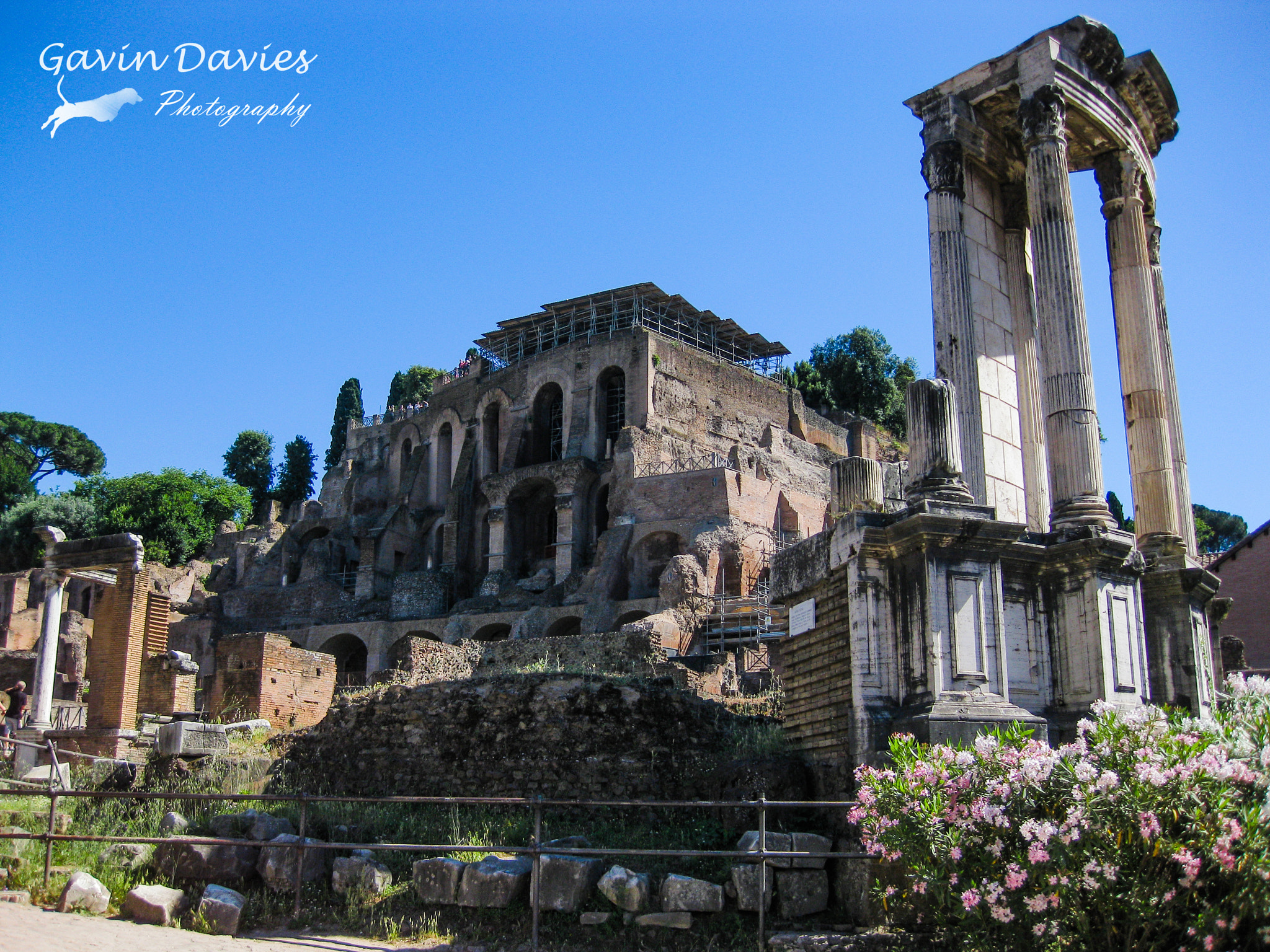 Canon PowerShot SD770 IS (Digital IXUS 85 IS / IXY Digital 25 IS) sample photo. Rome palace ruins photography