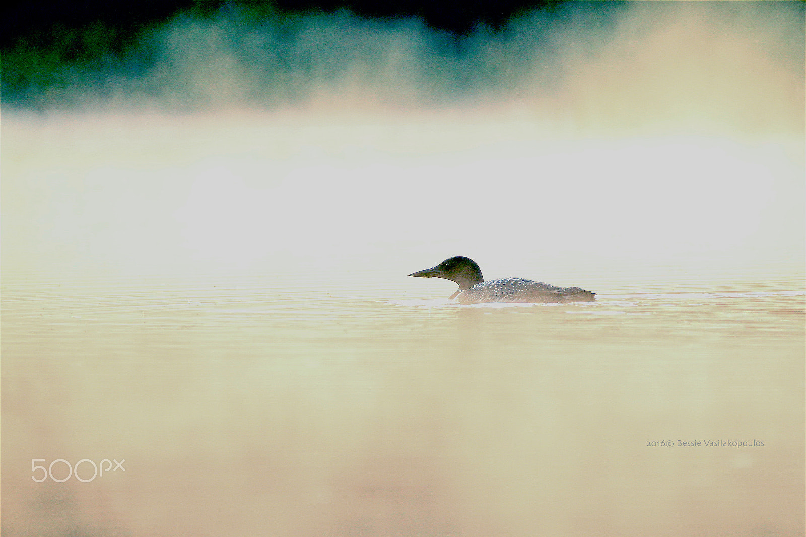 Sigma 150mm f/2.8 EX DG OS HSM APO Macro sample photo. August morning mist photography