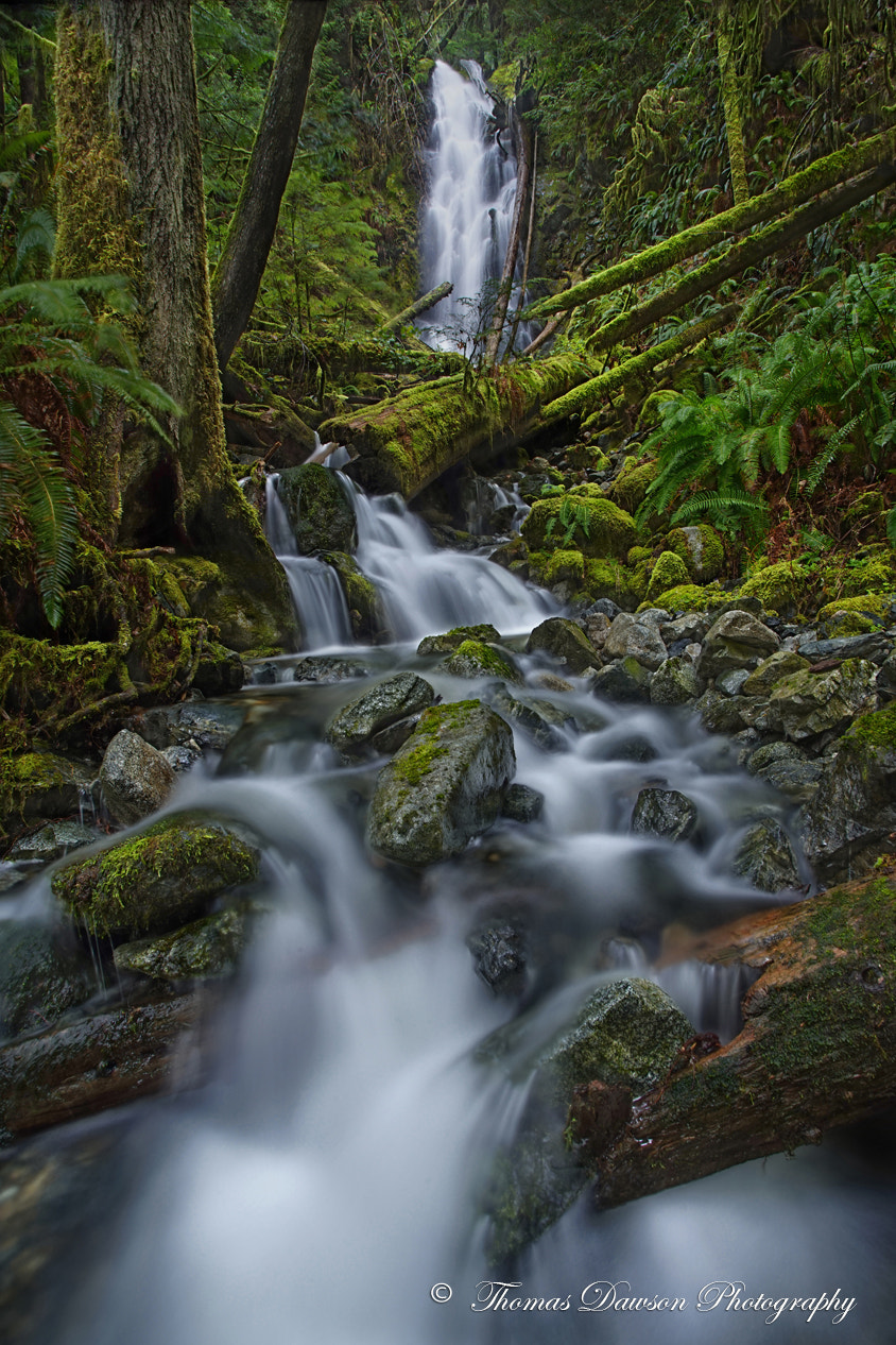 17-40mm F4 G SSM sample photo. My secret paradise - persistence photography