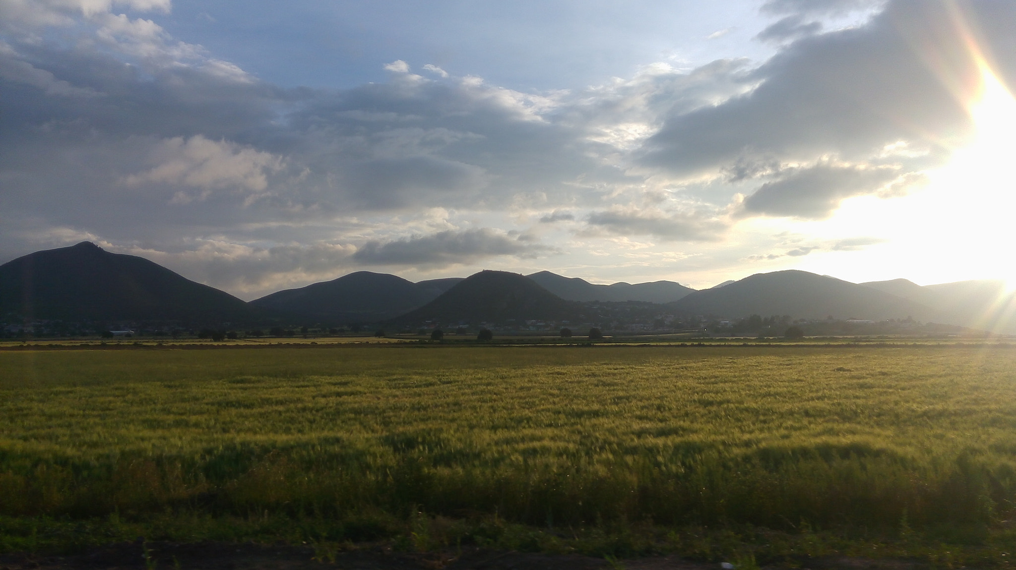 LG G4 STYLUS sample photo