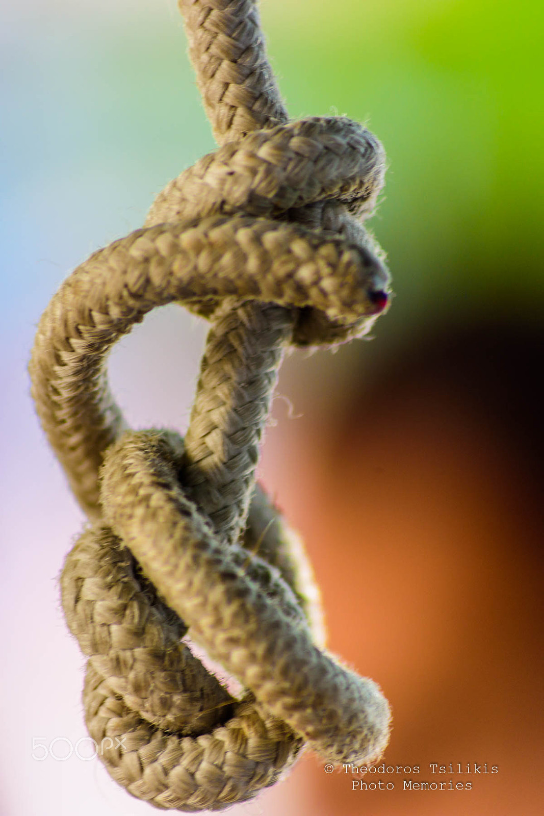Sigma 70-300mm F4-5.6 APO DG Macro sample photo. Crux photography