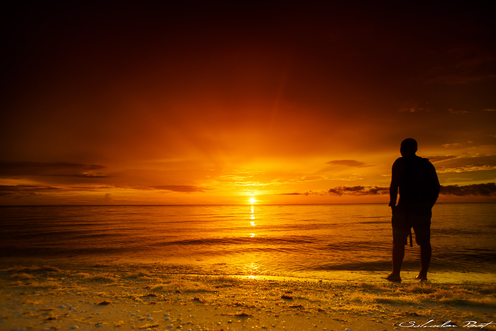 Sony a7S + Sony E 16mm F2.8 sample photo. Atardecer en celestun photography