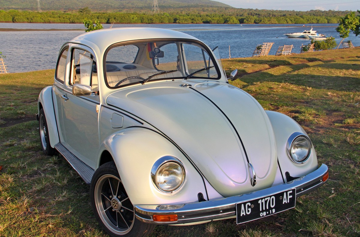 Canon EOS 650D (EOS Rebel T4i / EOS Kiss X6i) sample photo. Beetle '74 photography