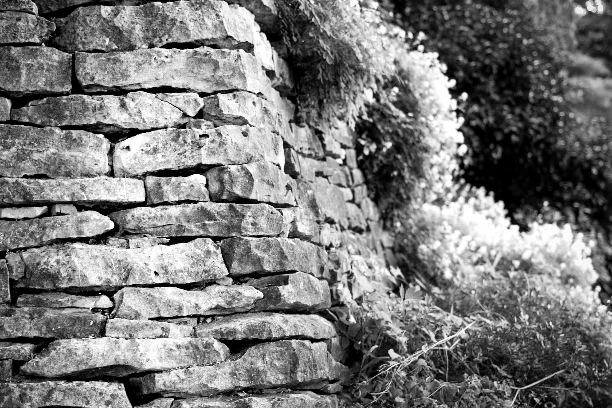 Canon EF 40mm F2.8 STM sample photo. Stone wall photography