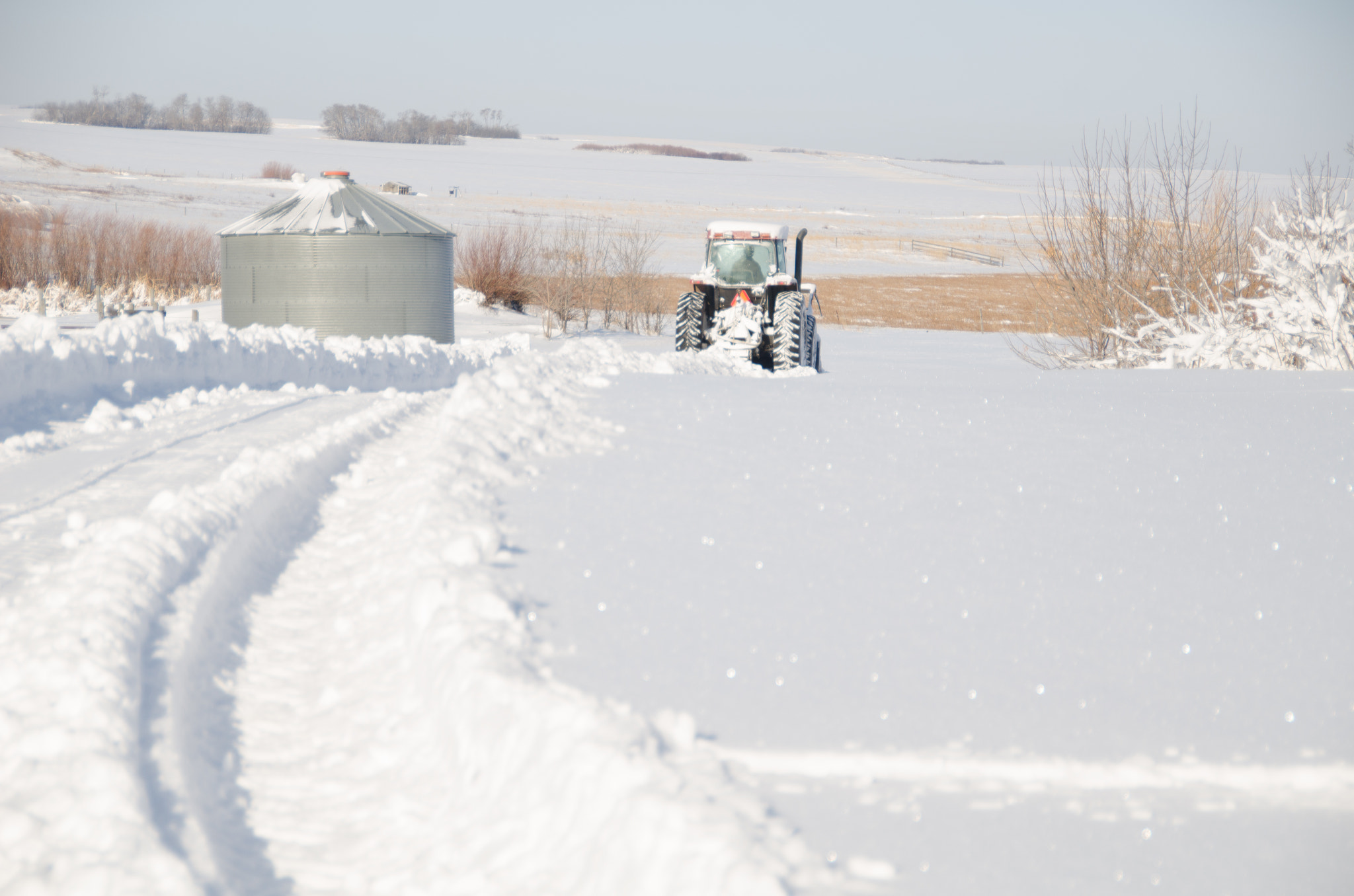 Nikon D7000 + Sigma 18-250mm F3.5-6.3 DC OS HSM sample photo. Last years snow storm dsc_6681_2481.jpg photography