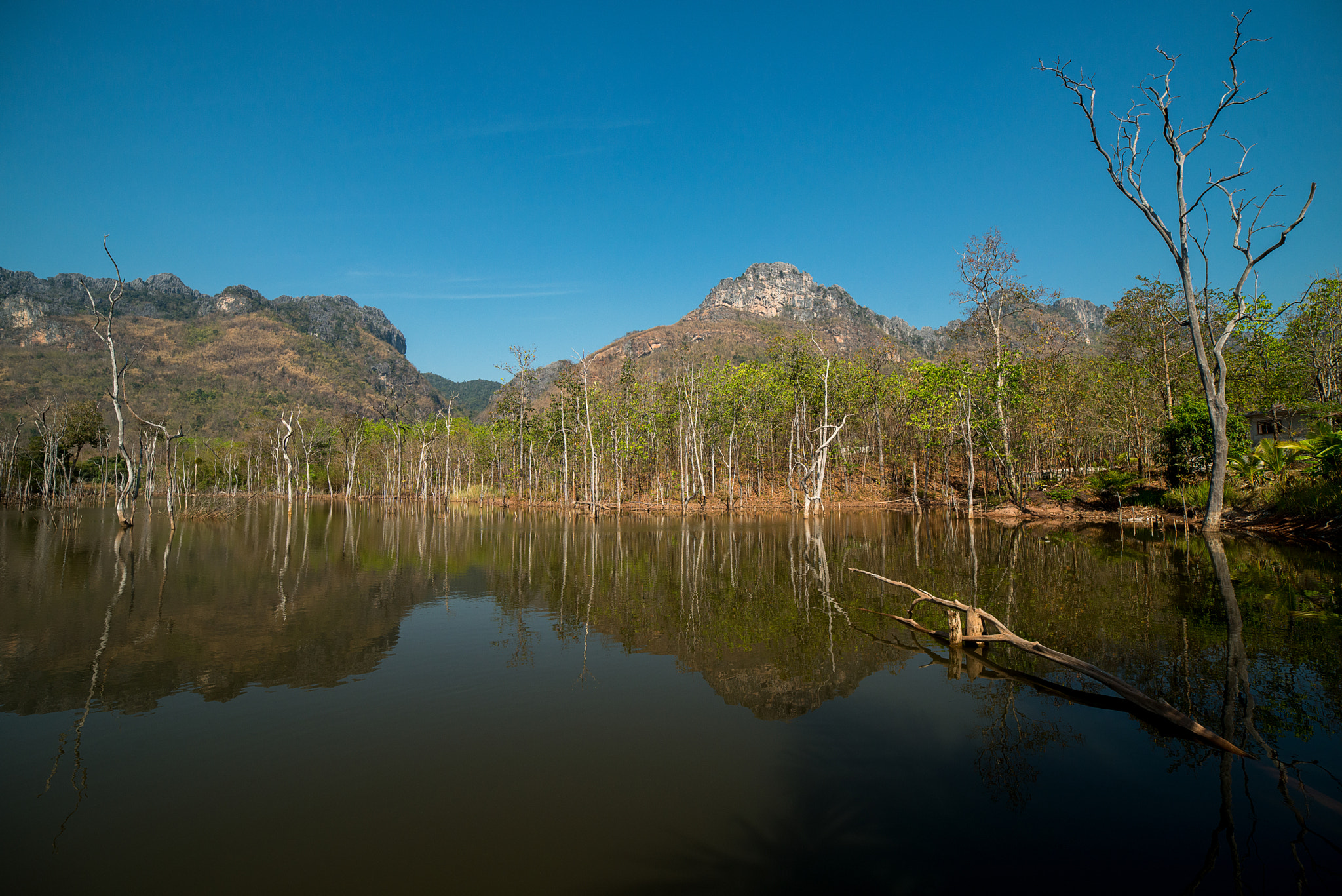 Samyang 14mm F2.8 ED AS IF UMC sample photo. Lake of the dead trees photography