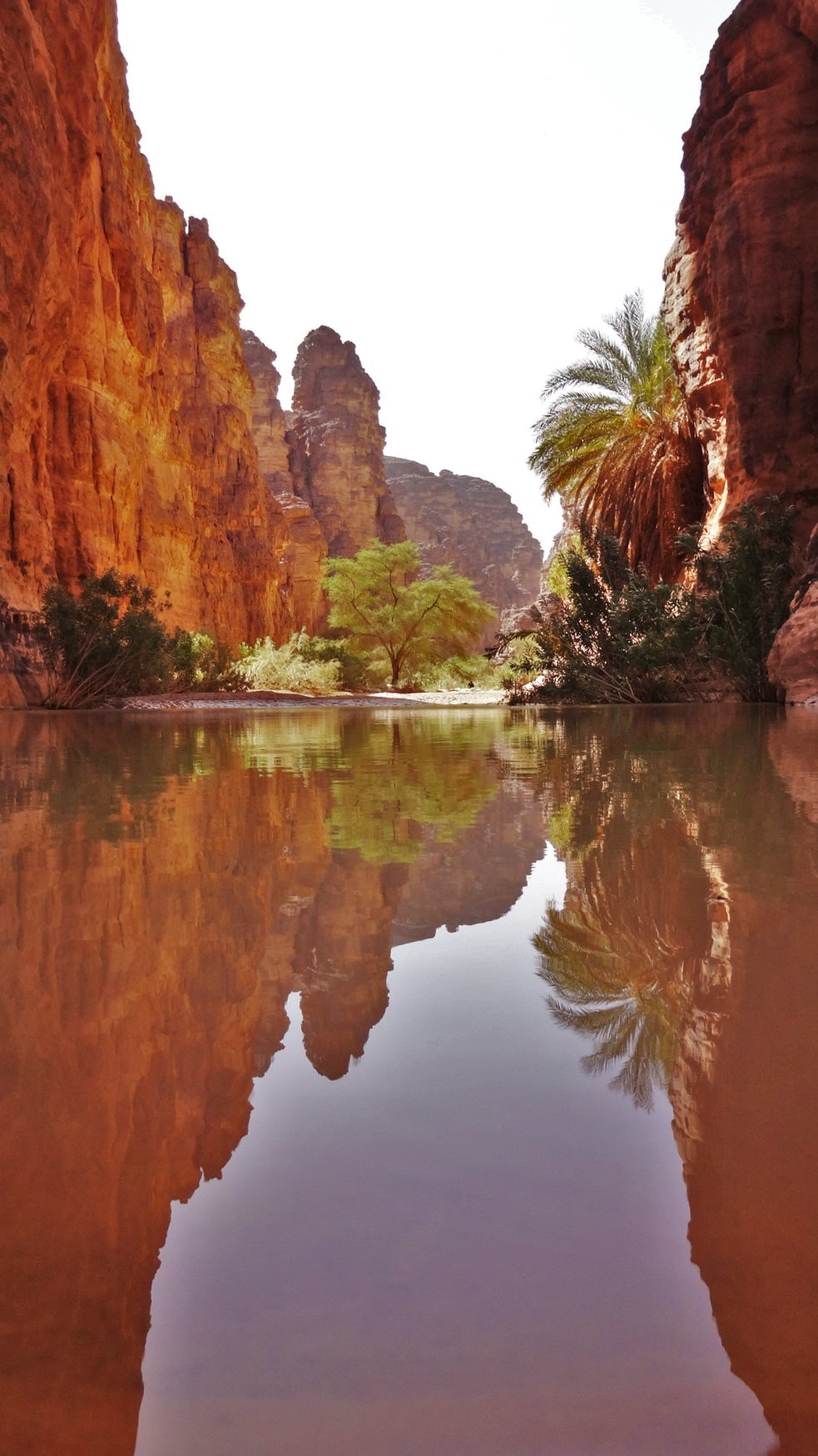 Sony DSC-WX100 sample photo. Small lake reflexion in the heart of the desert photography